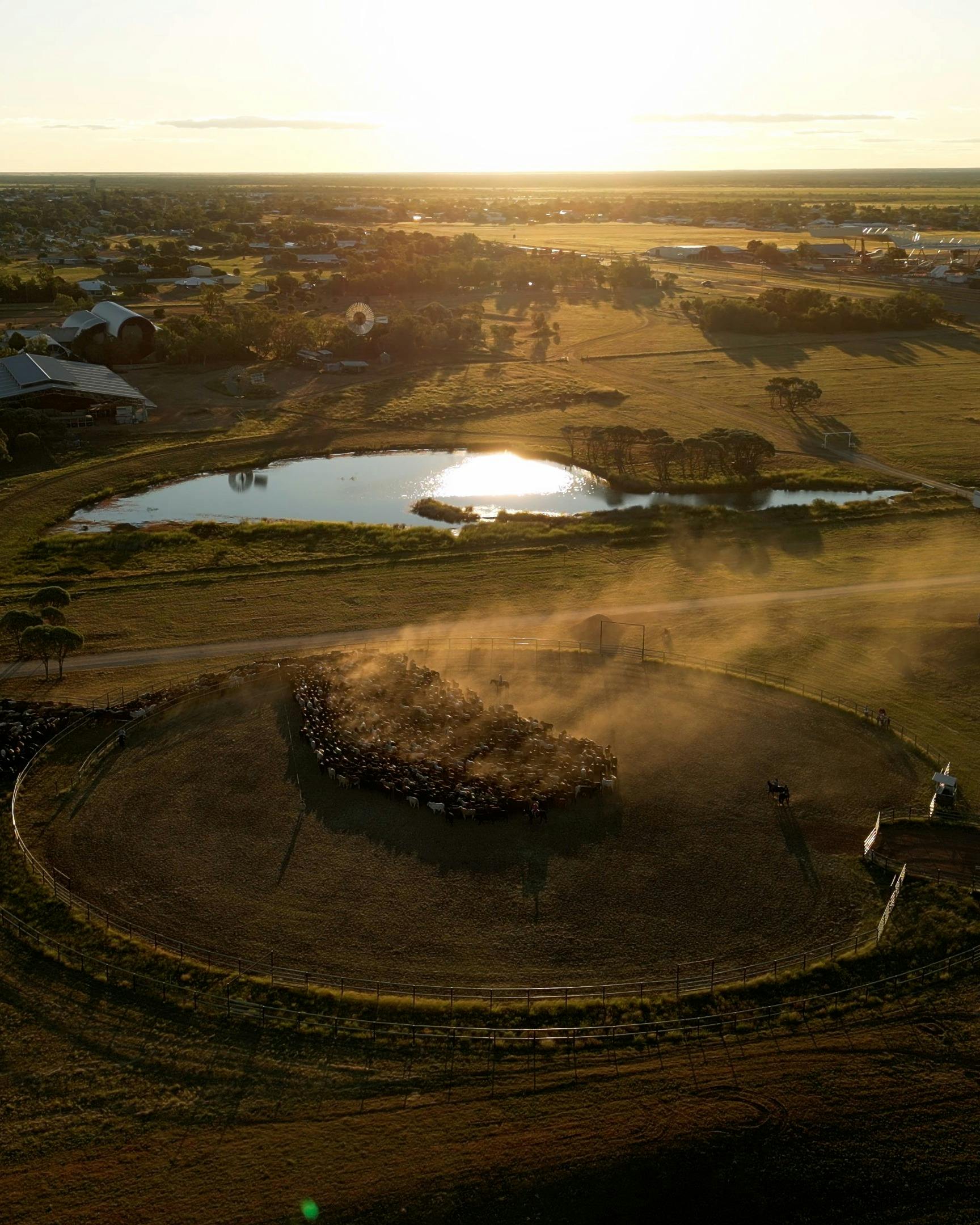 Outback Queensland Cattle Drive