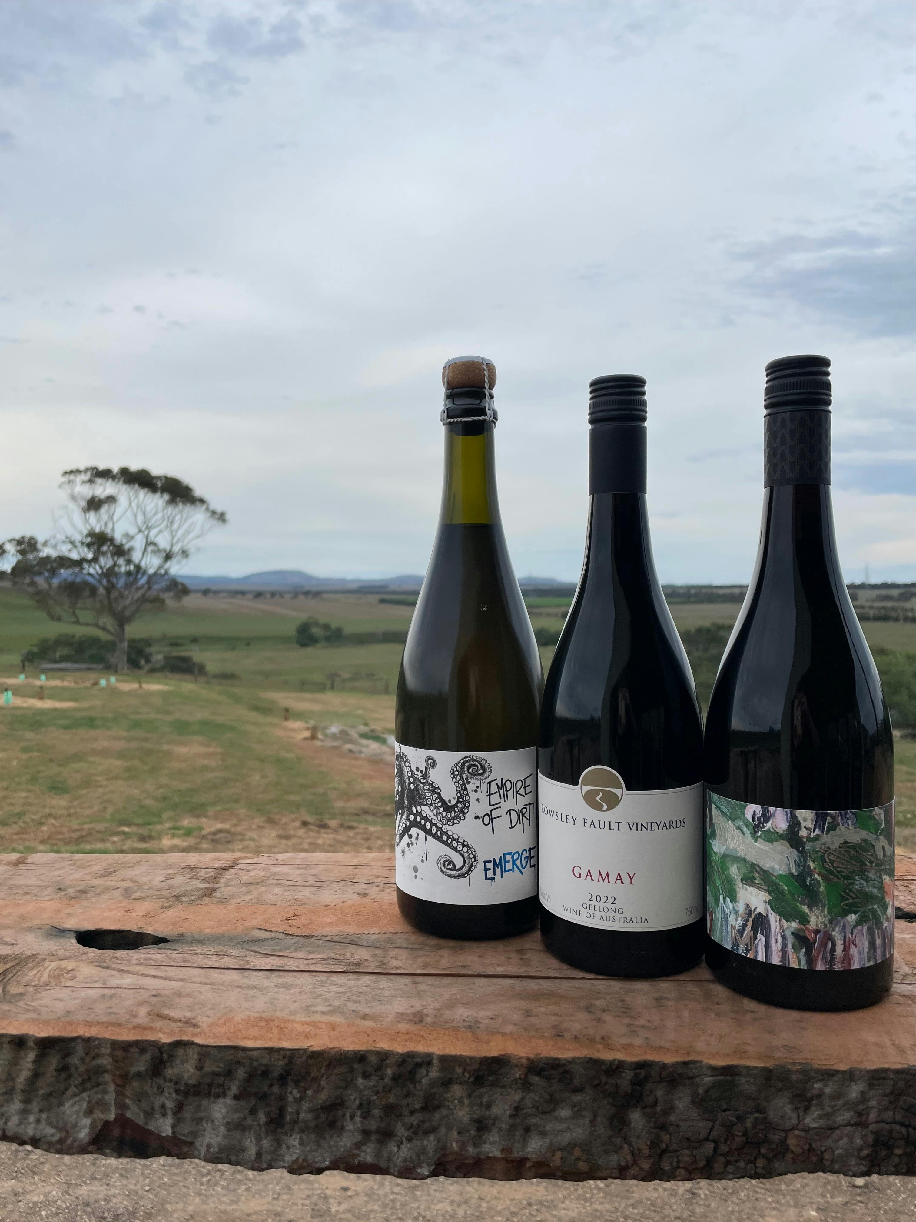 Wines view
