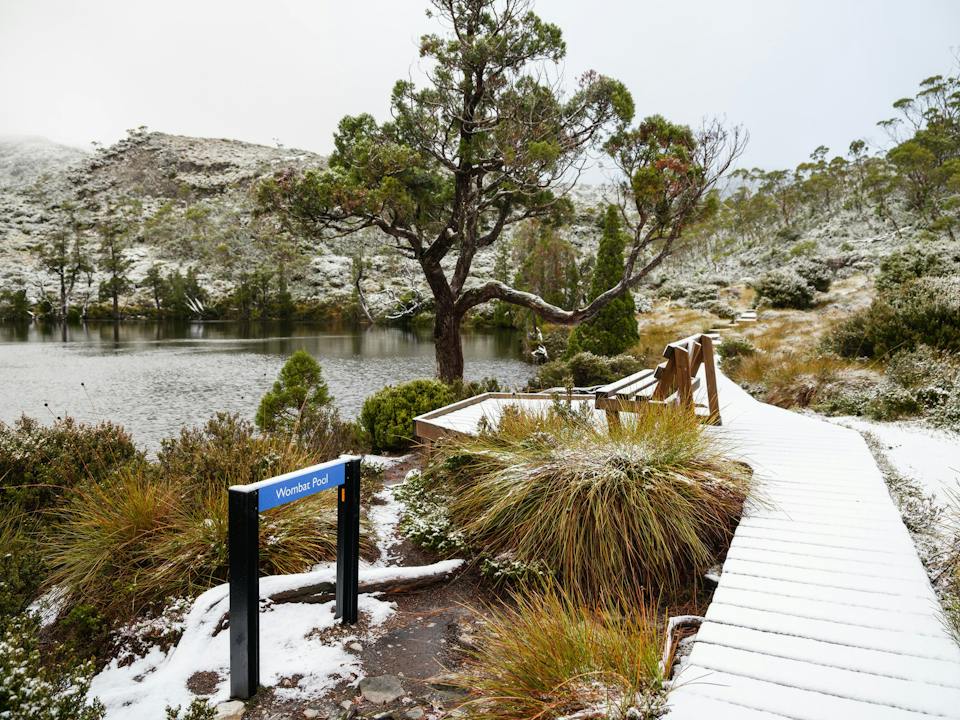 Cradle Mountain - Lake St Clair National Park (Cradle Mountain) photo