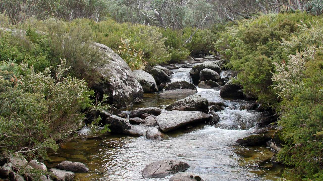Thredbo River Track