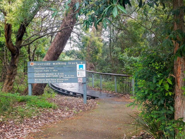 Riverside walking track, Lane Cove National Park. Photo: Debbie McGerty