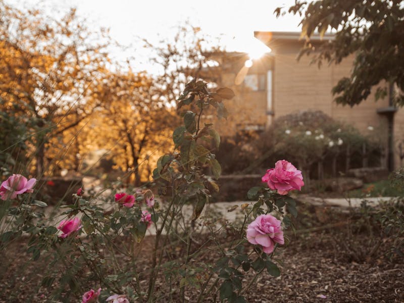 Image for Rest, Recalibrate, and Rise: Day Retreat