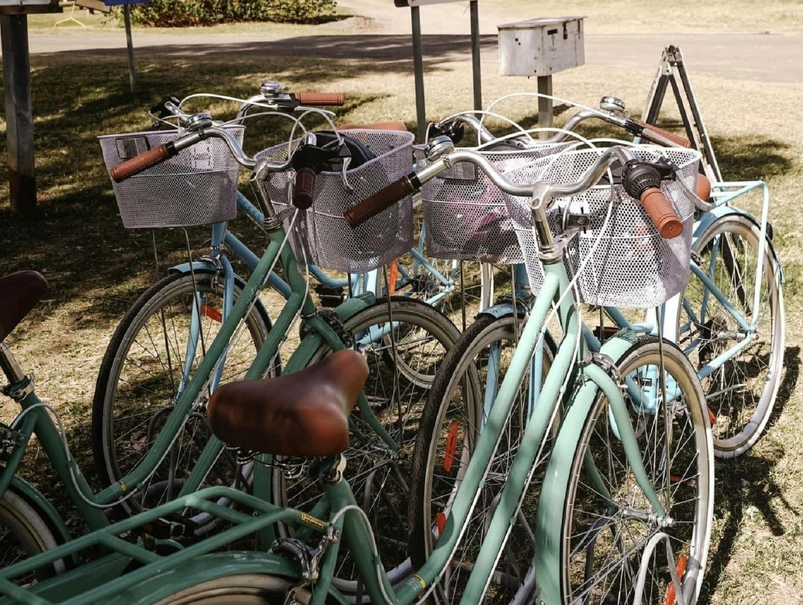 Cruiser bikes on display