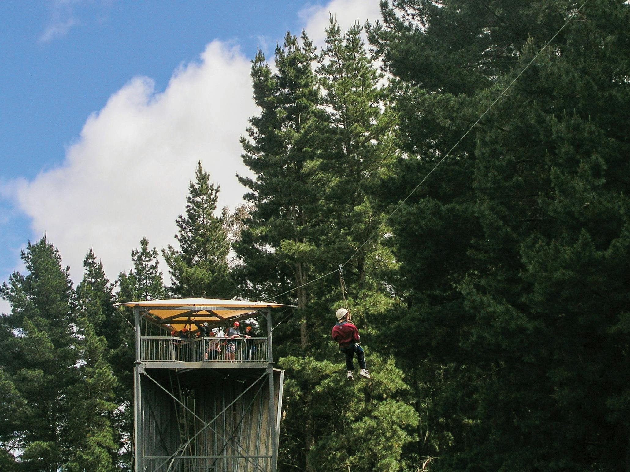 Go Wild at MLAH - School  Holiday