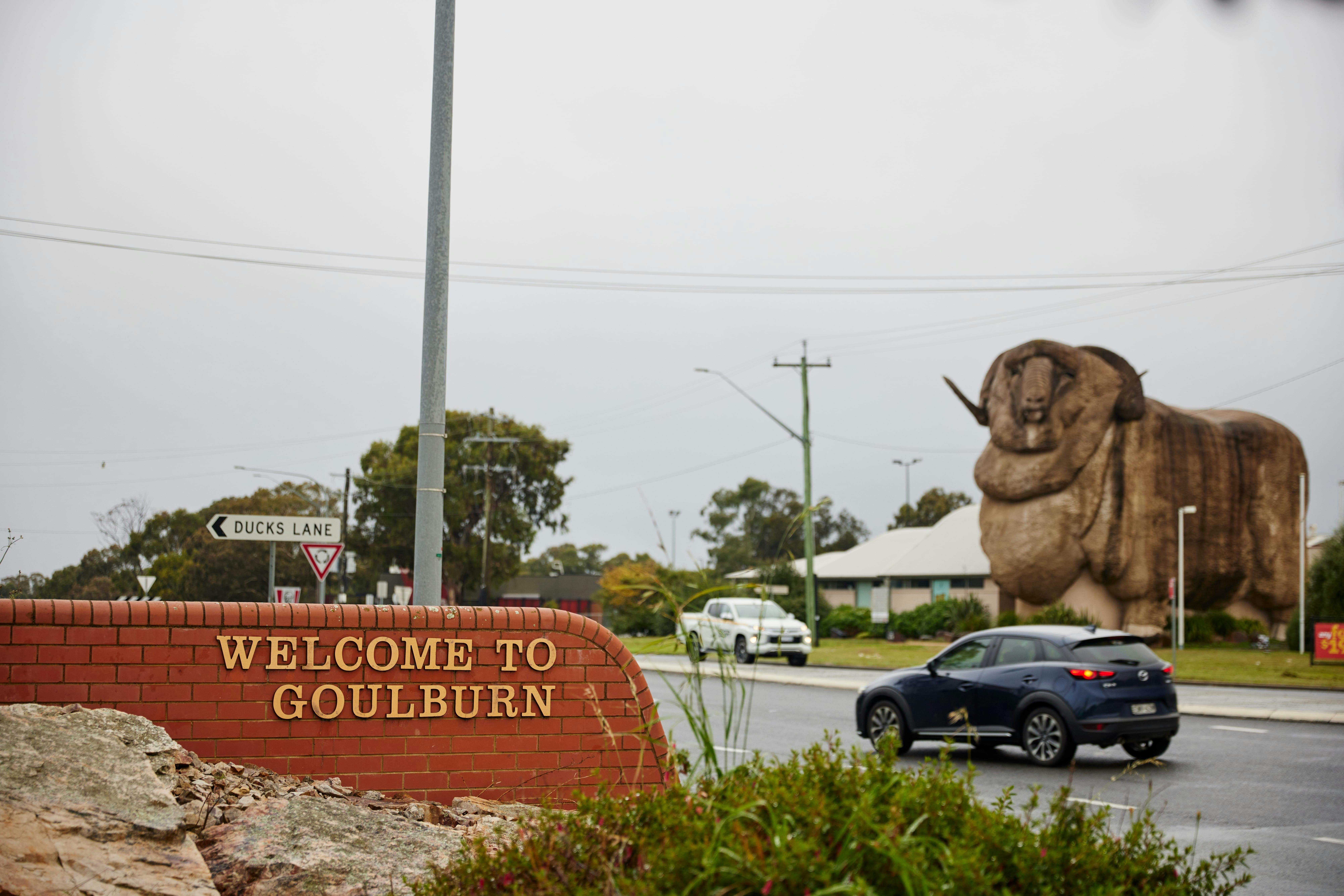 Evergreen Turf Country Championships – Goulburn