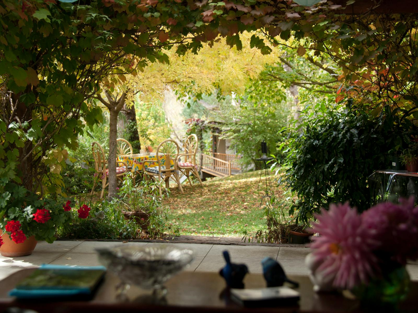 Image for New England Autumn Garden Trail - Tenterfield