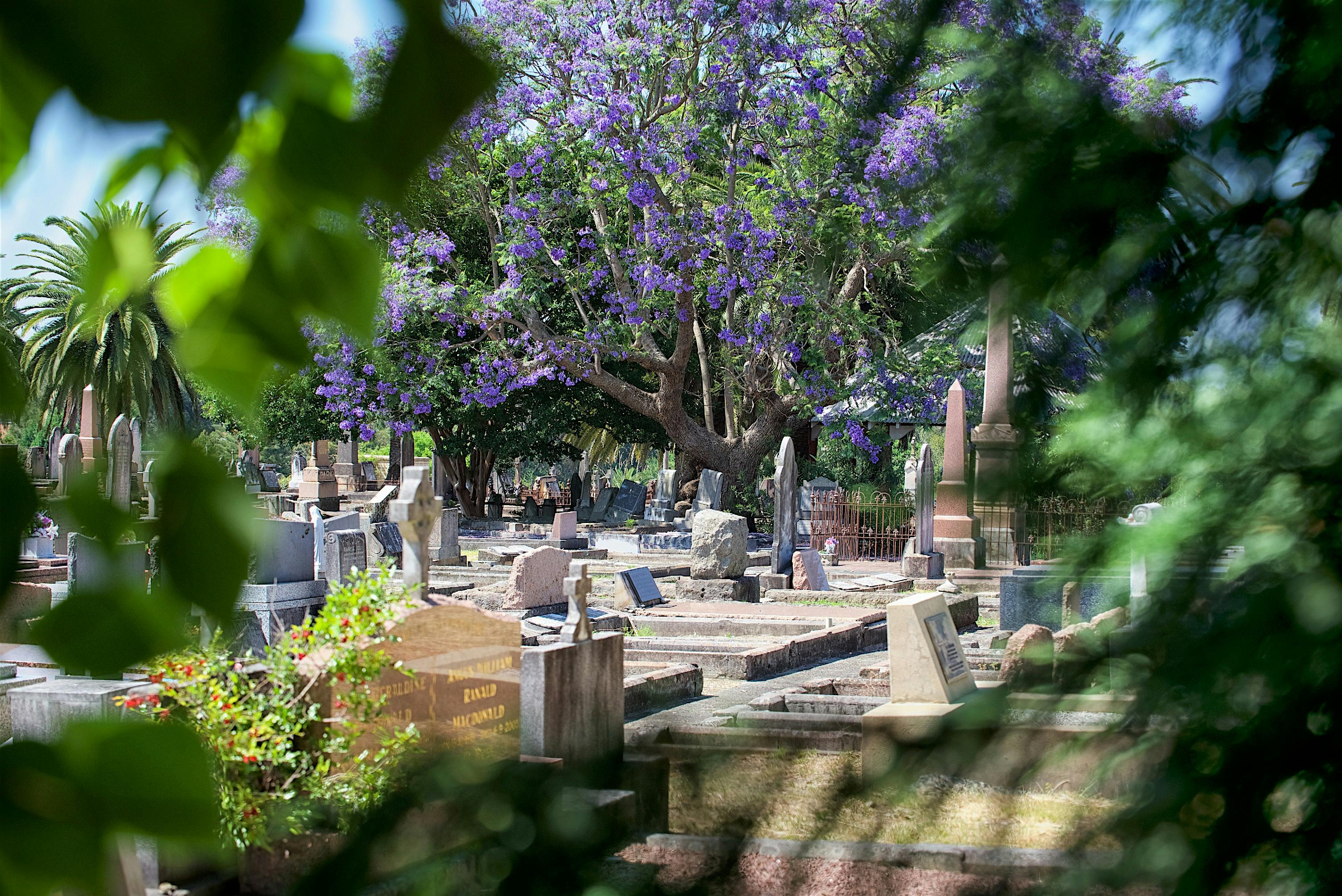 Ryde District Historical Society History Tours