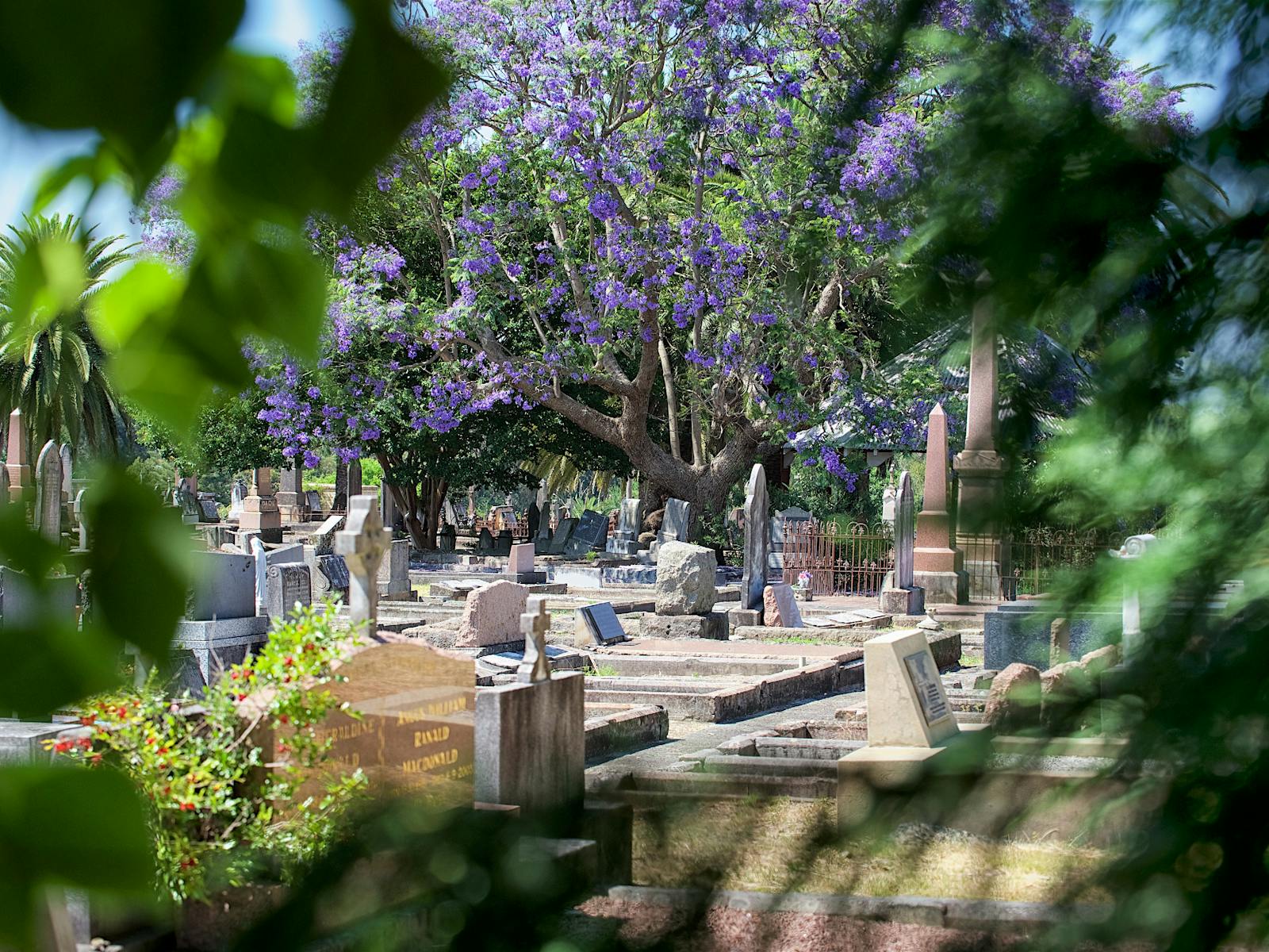 Field of Mars Cemetery