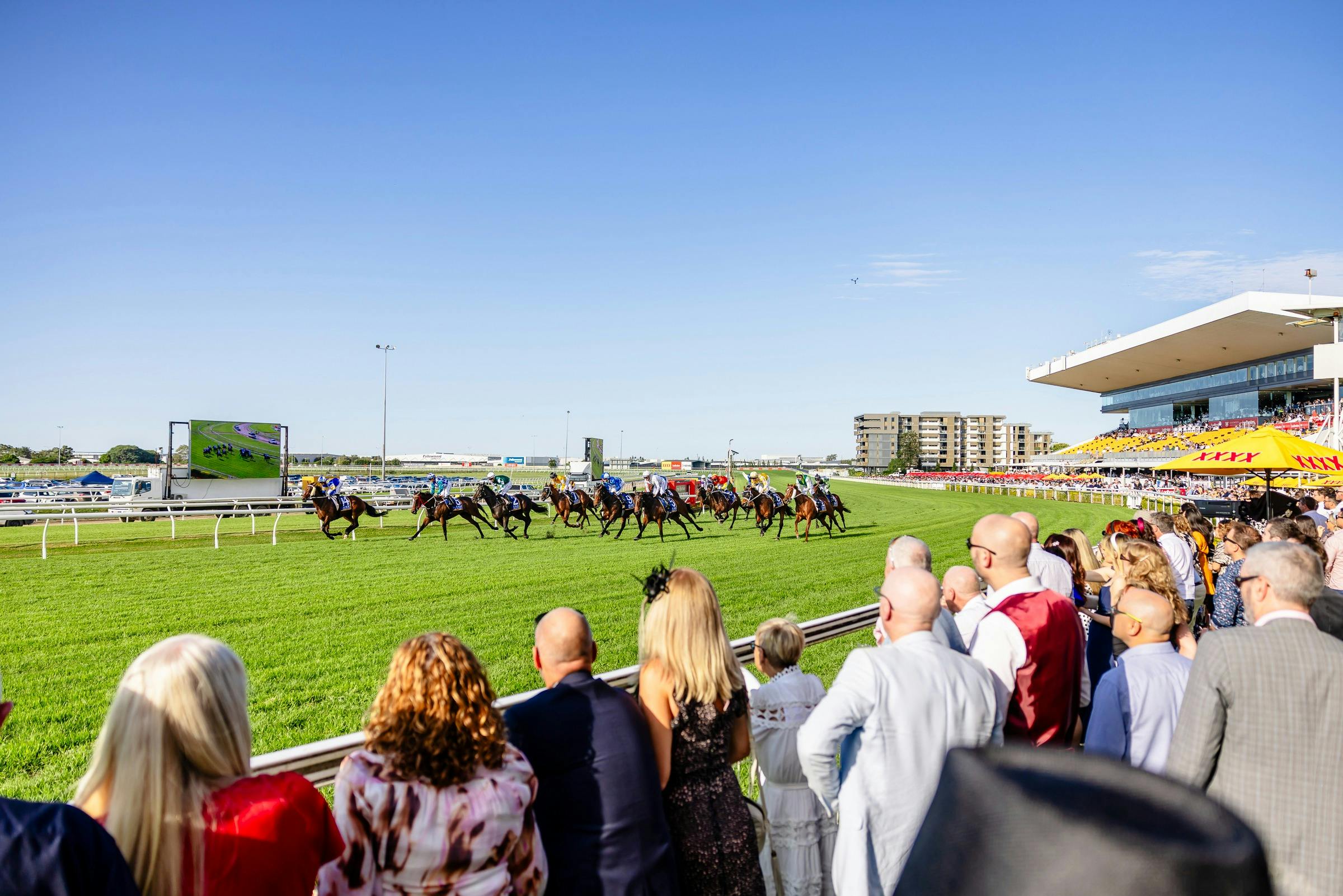 Horses run past an excited crowd at Doomben Racecourse