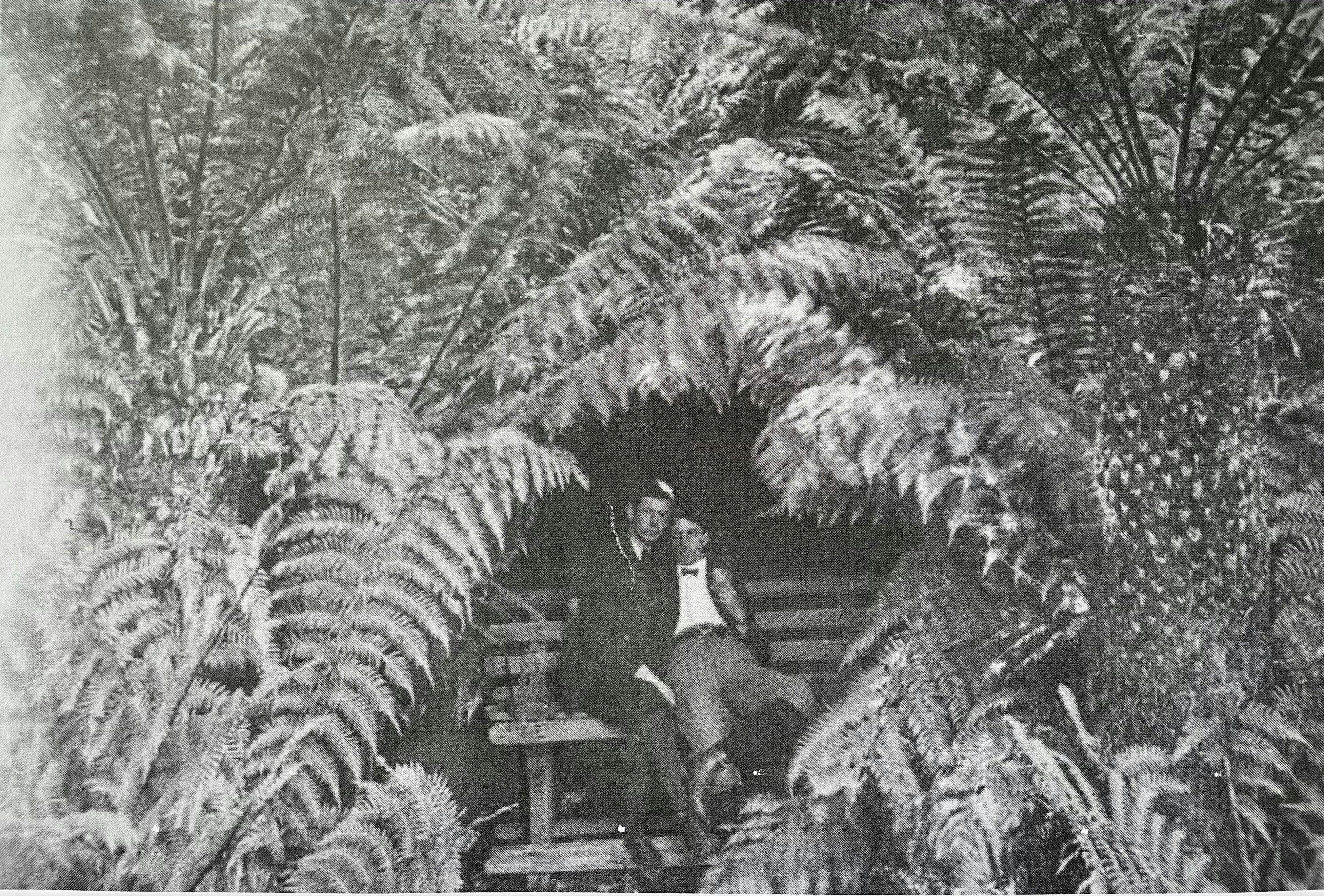 A loving couple, Ferntree, Tasmania, c1890