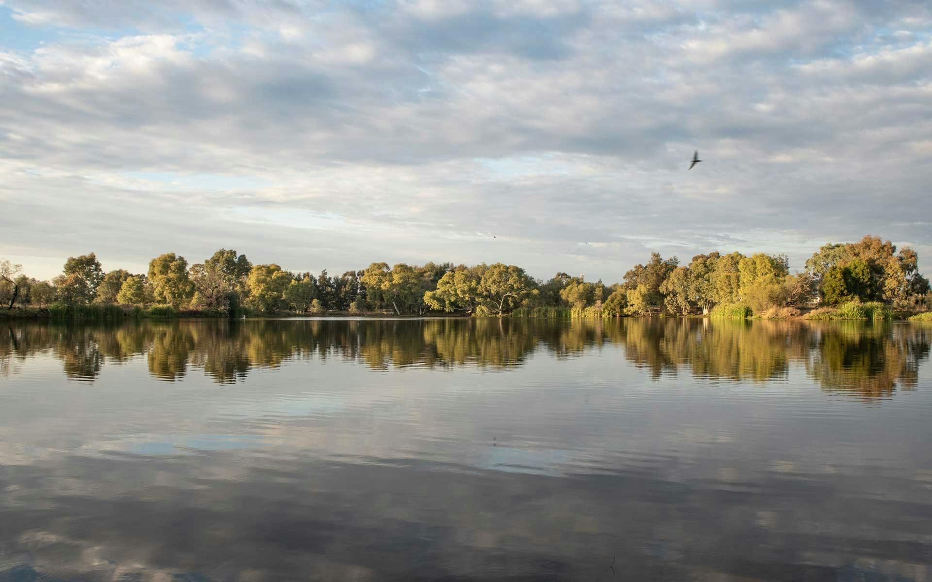 Roma Bush Gardens Railway Dam