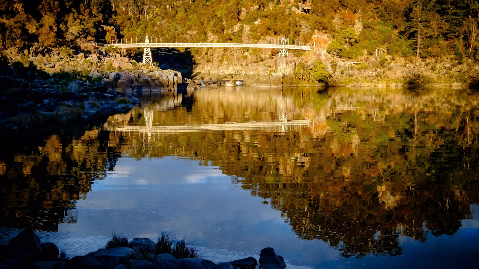 Wallaby Walkabout Tours