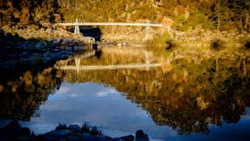 Wallaby Walkabout Tours