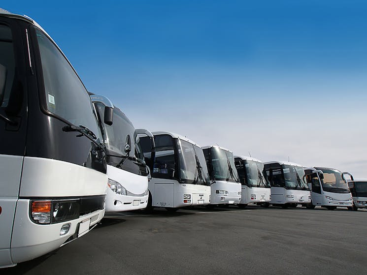 Sydney Bus Hire Company