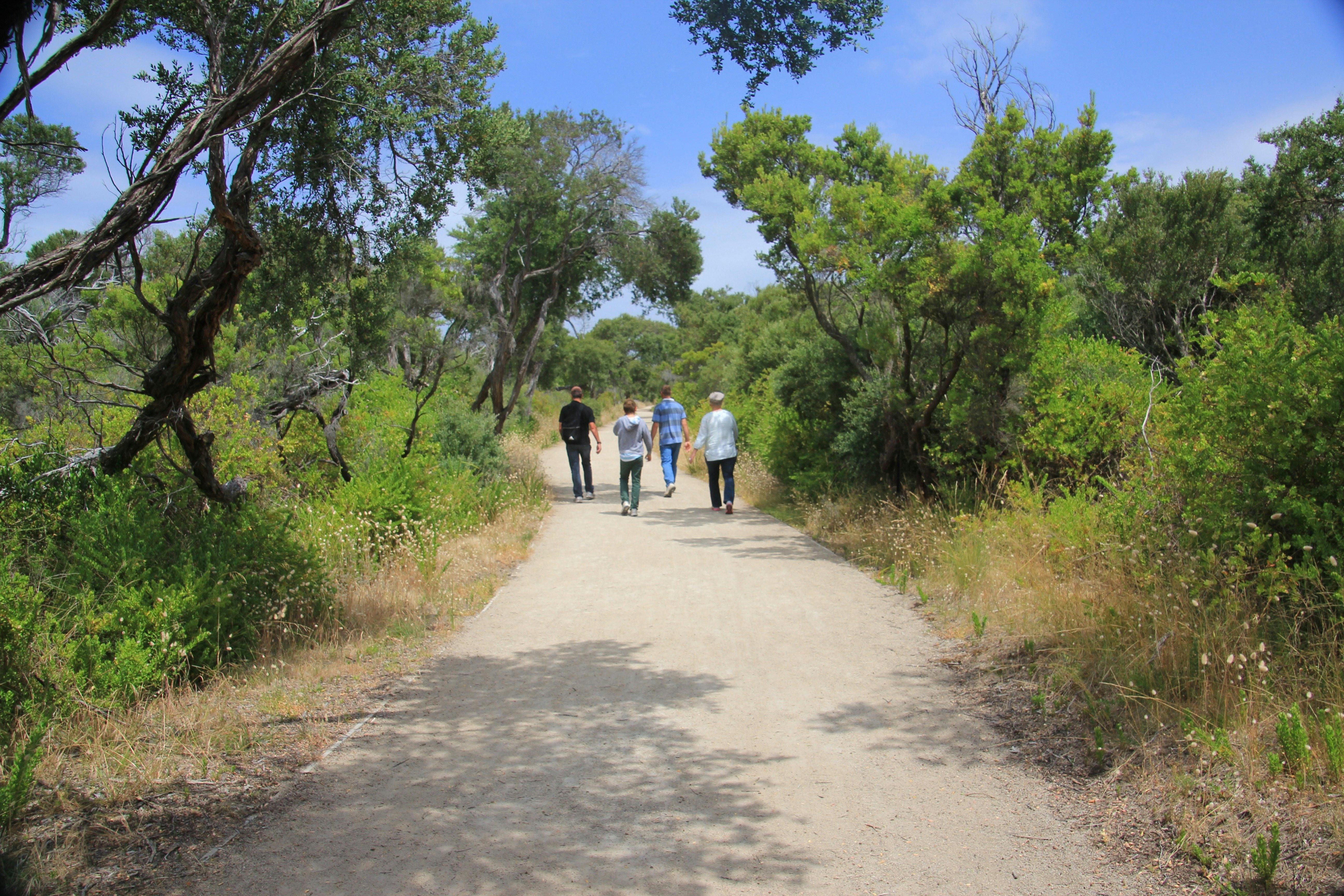 Coles Track, Point Nepean