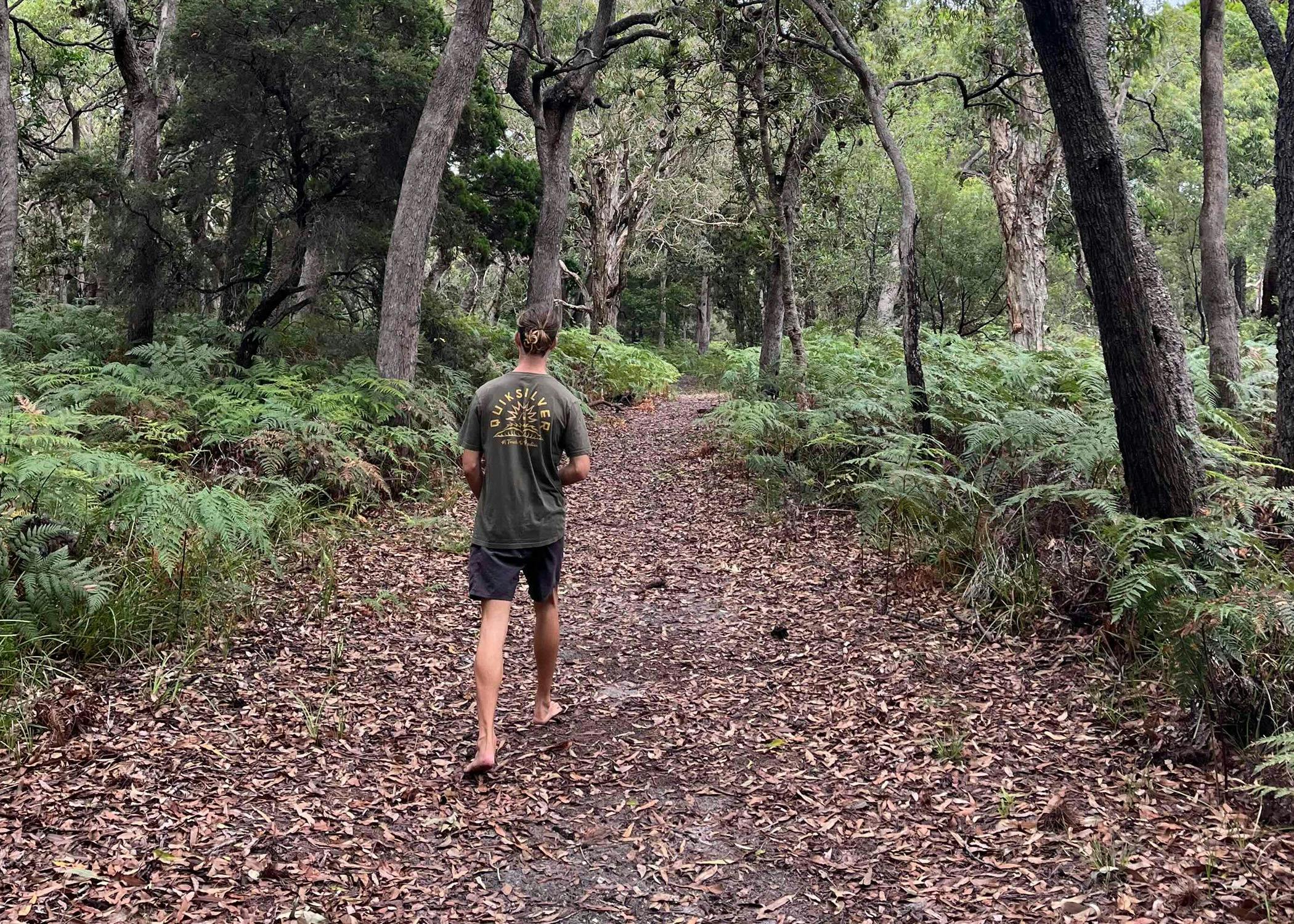 Tipplers Walking Trail through the South Stradbroke Conservation Park