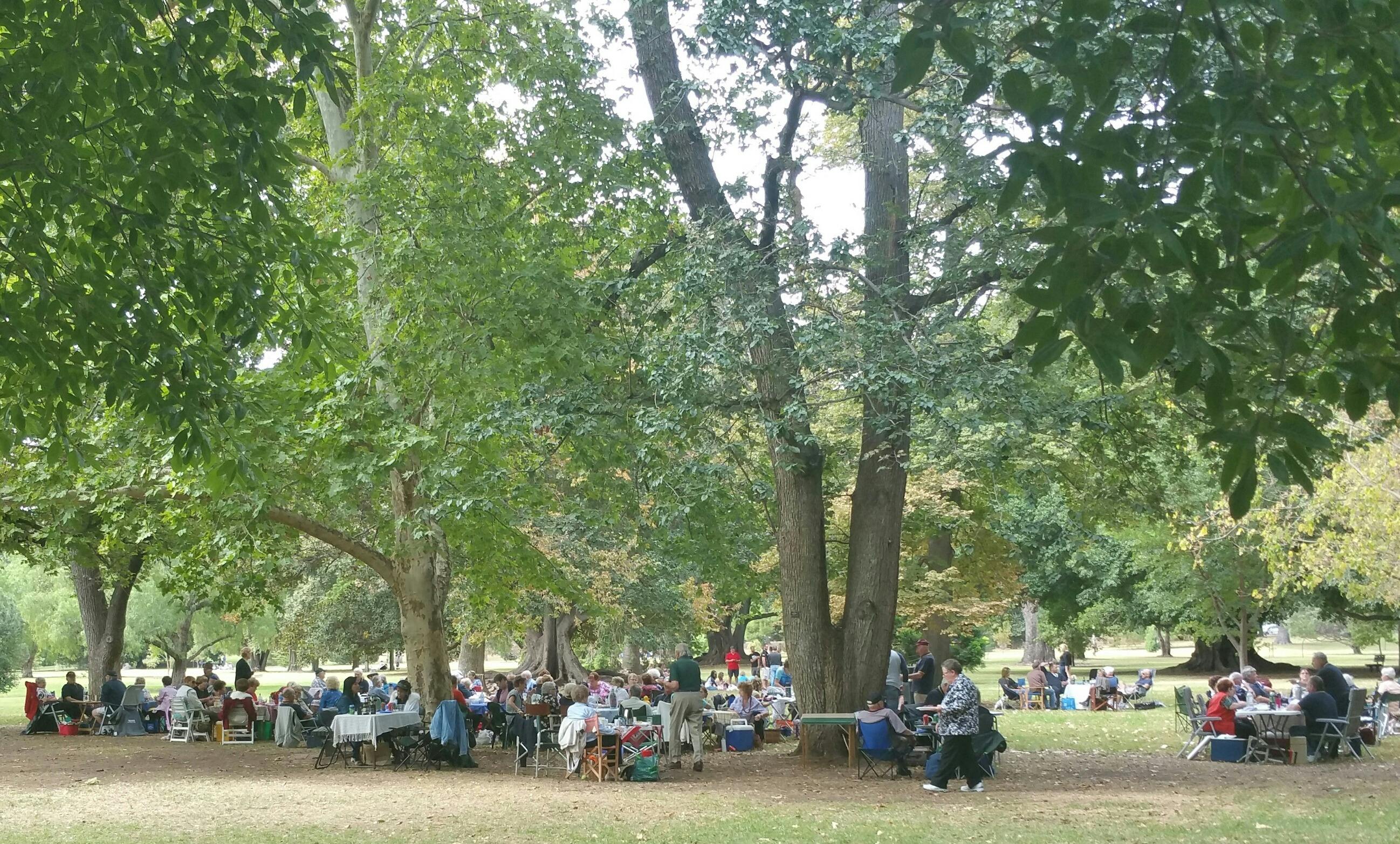 Botanic Park / Tainmuntilla (Park 11)