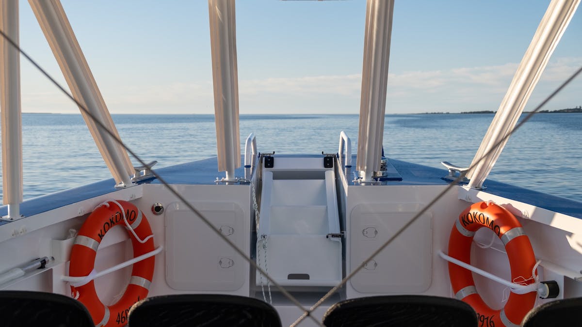 The view from seats onboard