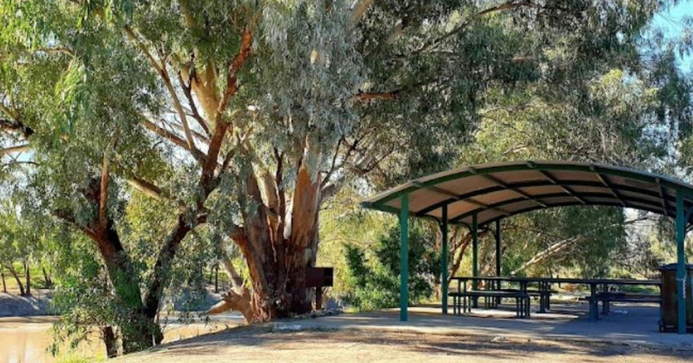 버크 보트 램프