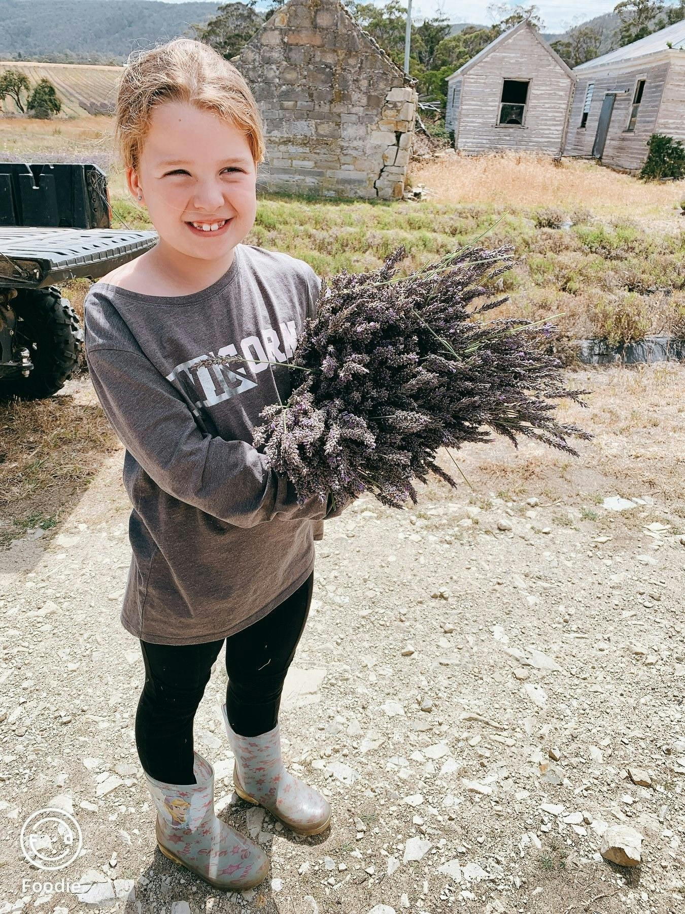 Huon Valley Lavender & Apple Shed Exploration
