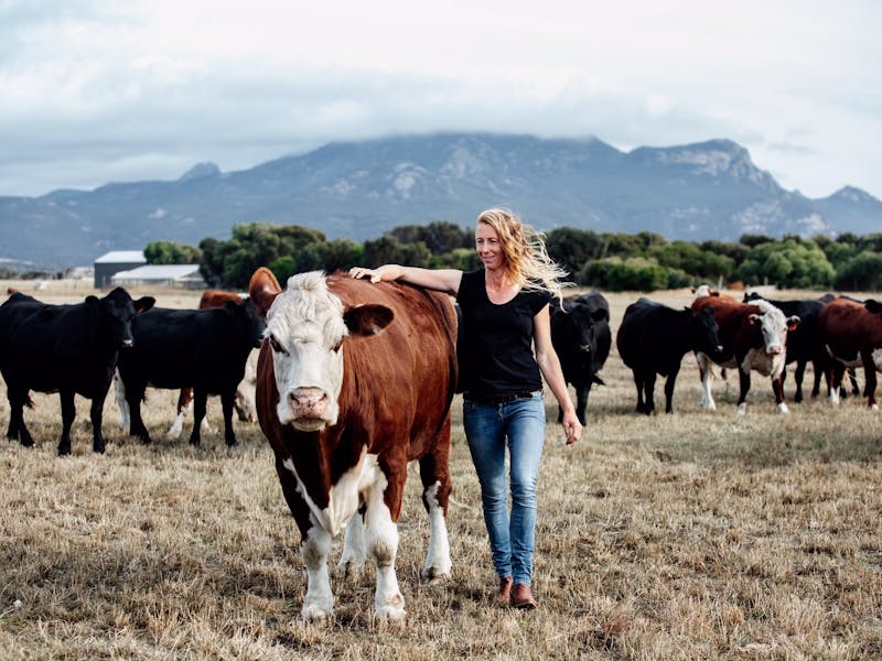 Echo Hills Cottage is on a lush sheep and cattle property