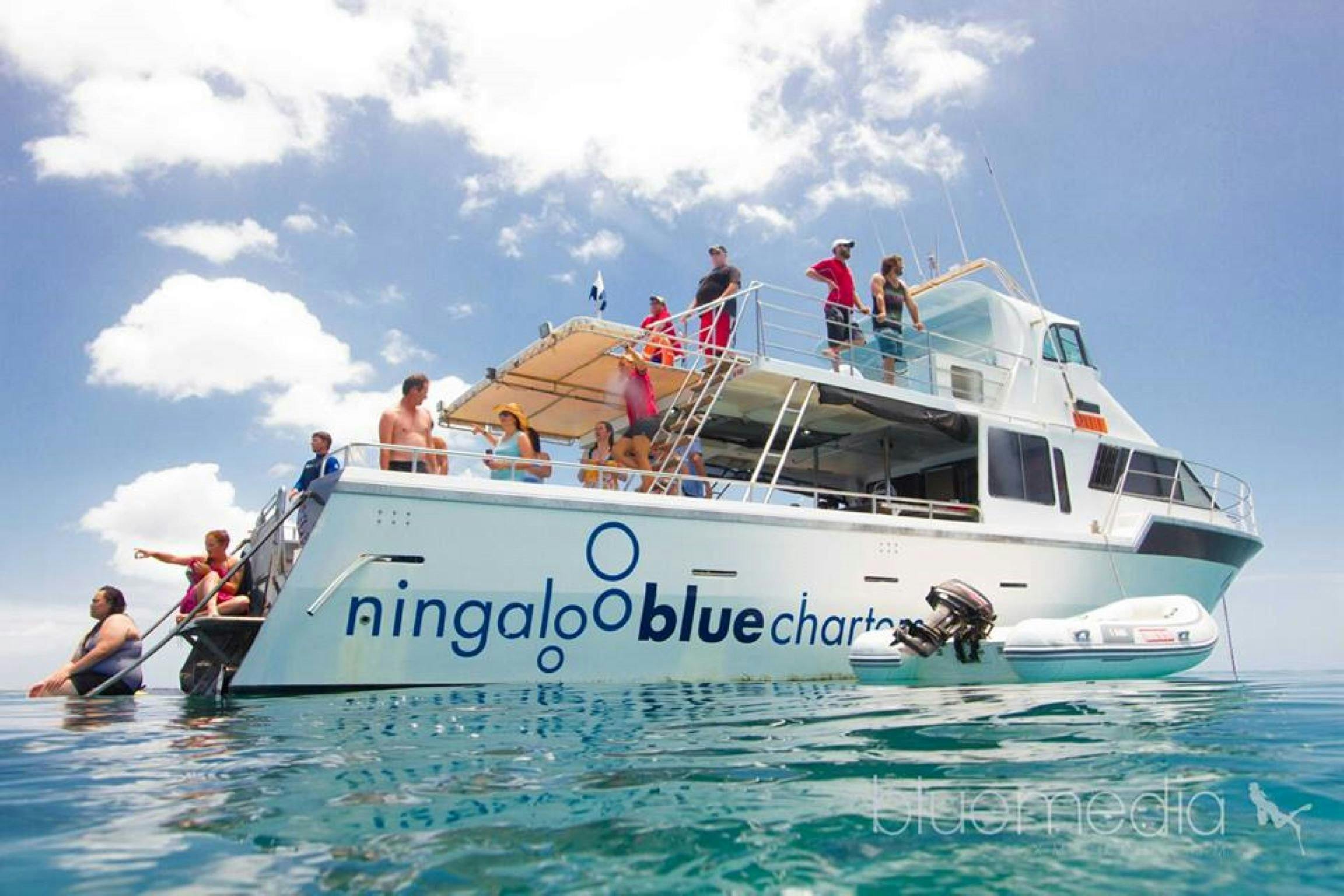 Ningaloo Blue Dive, Exmouth, Western Australia
