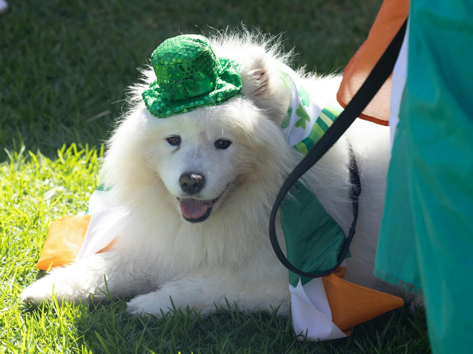 St. Patrick's Festival, St Kilda