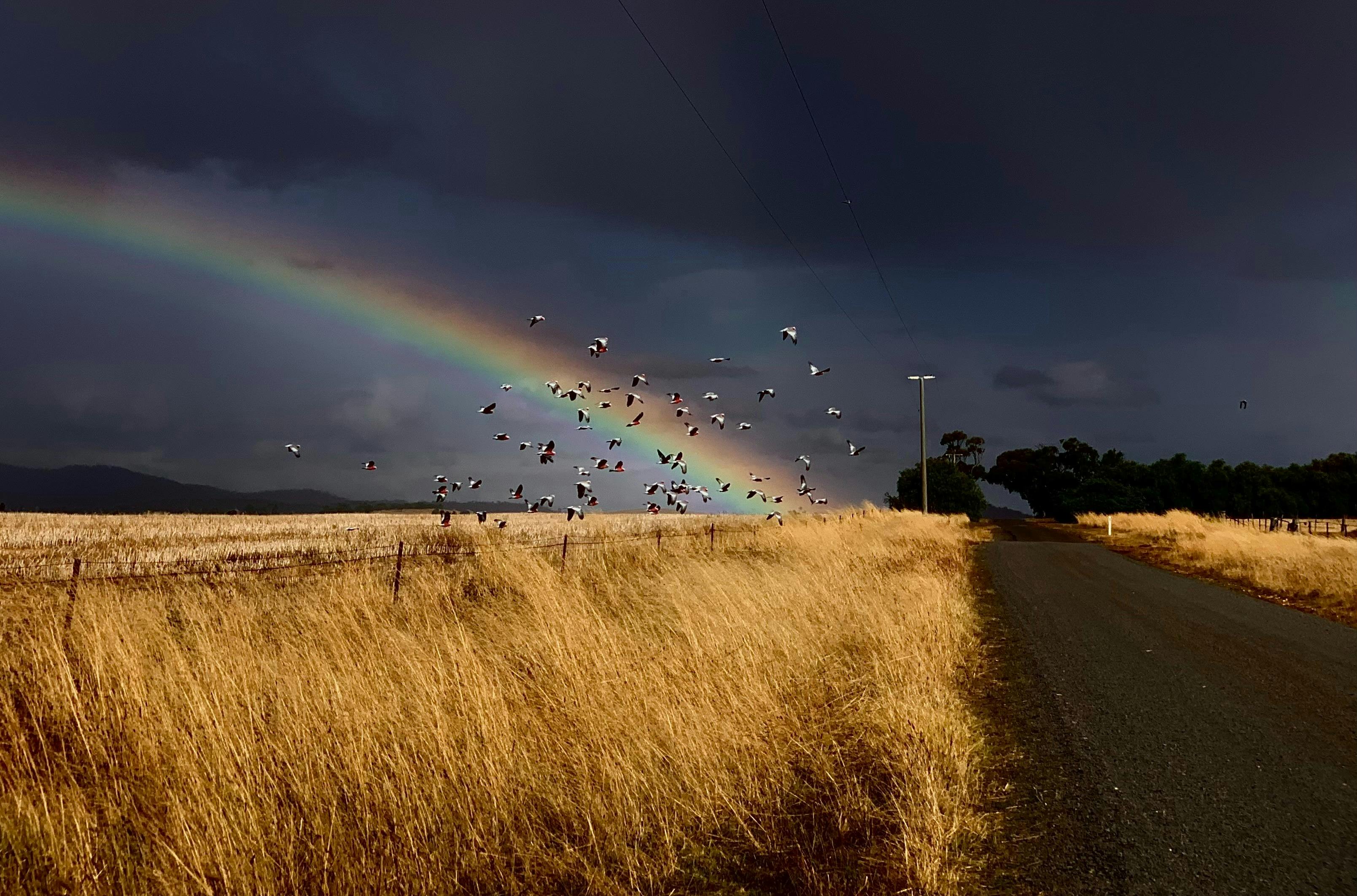 Landscape photo by Milton Moss