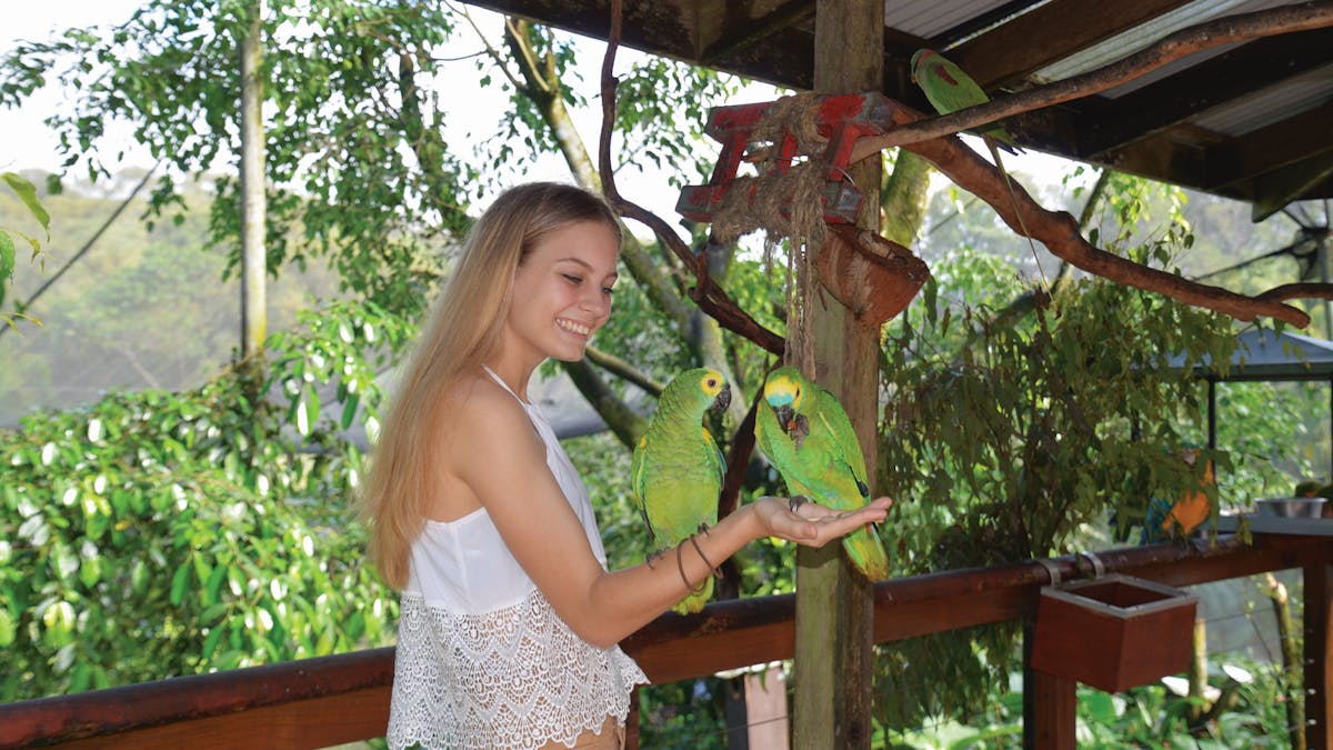 Bird Feeding Birdworld Kuranda