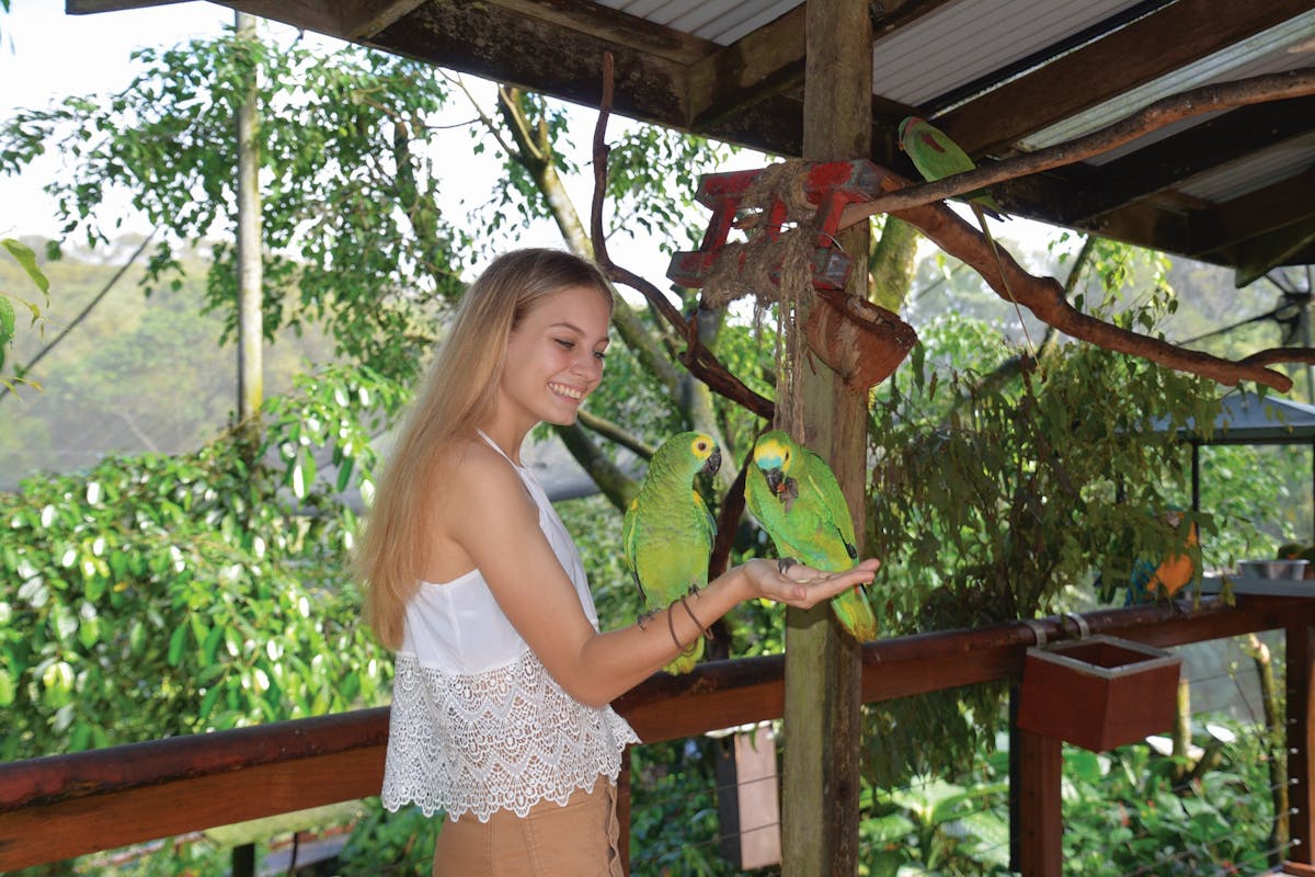 Bird Feeding Birdworld Kuranda