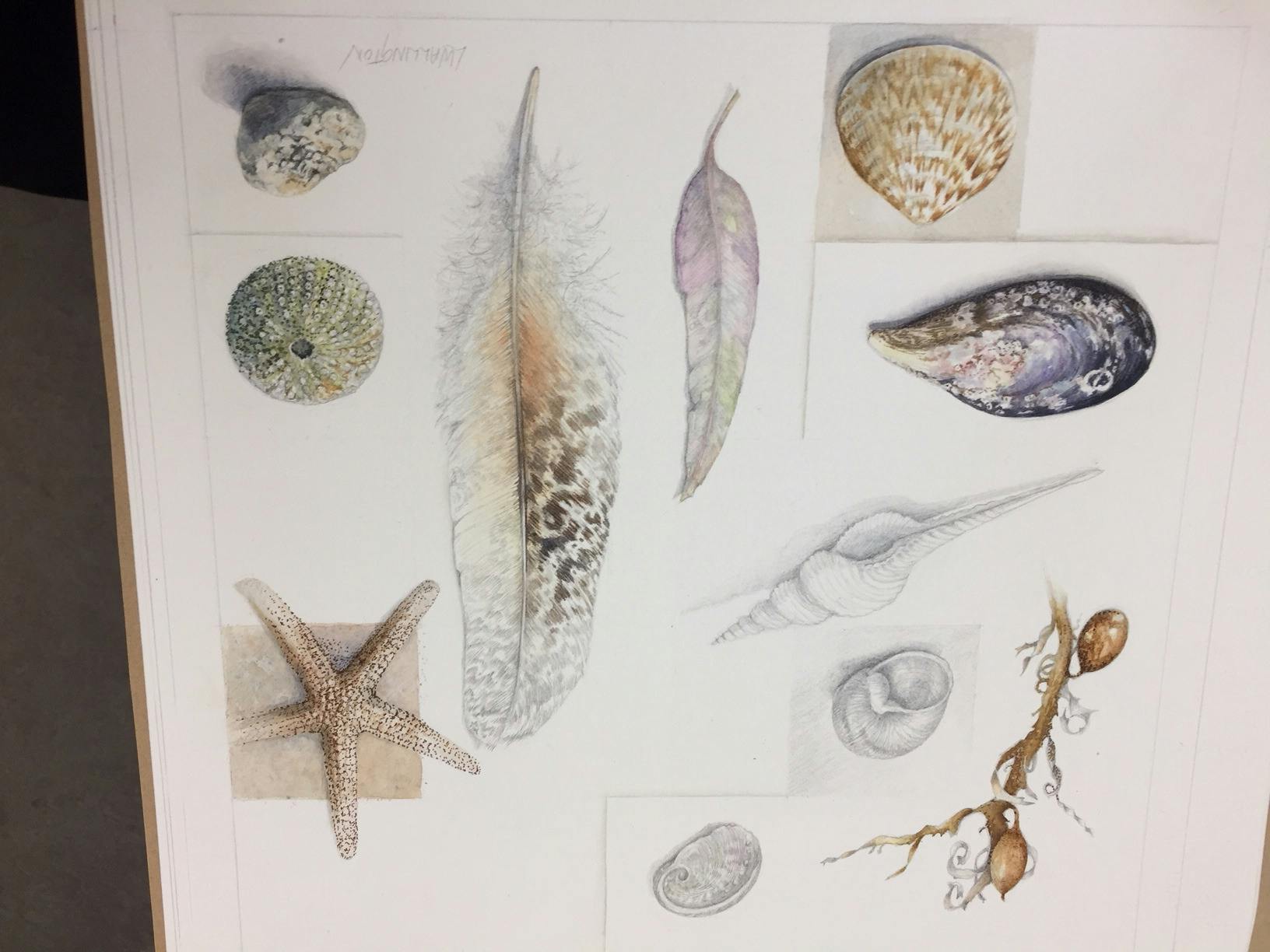 NatureArt Lab