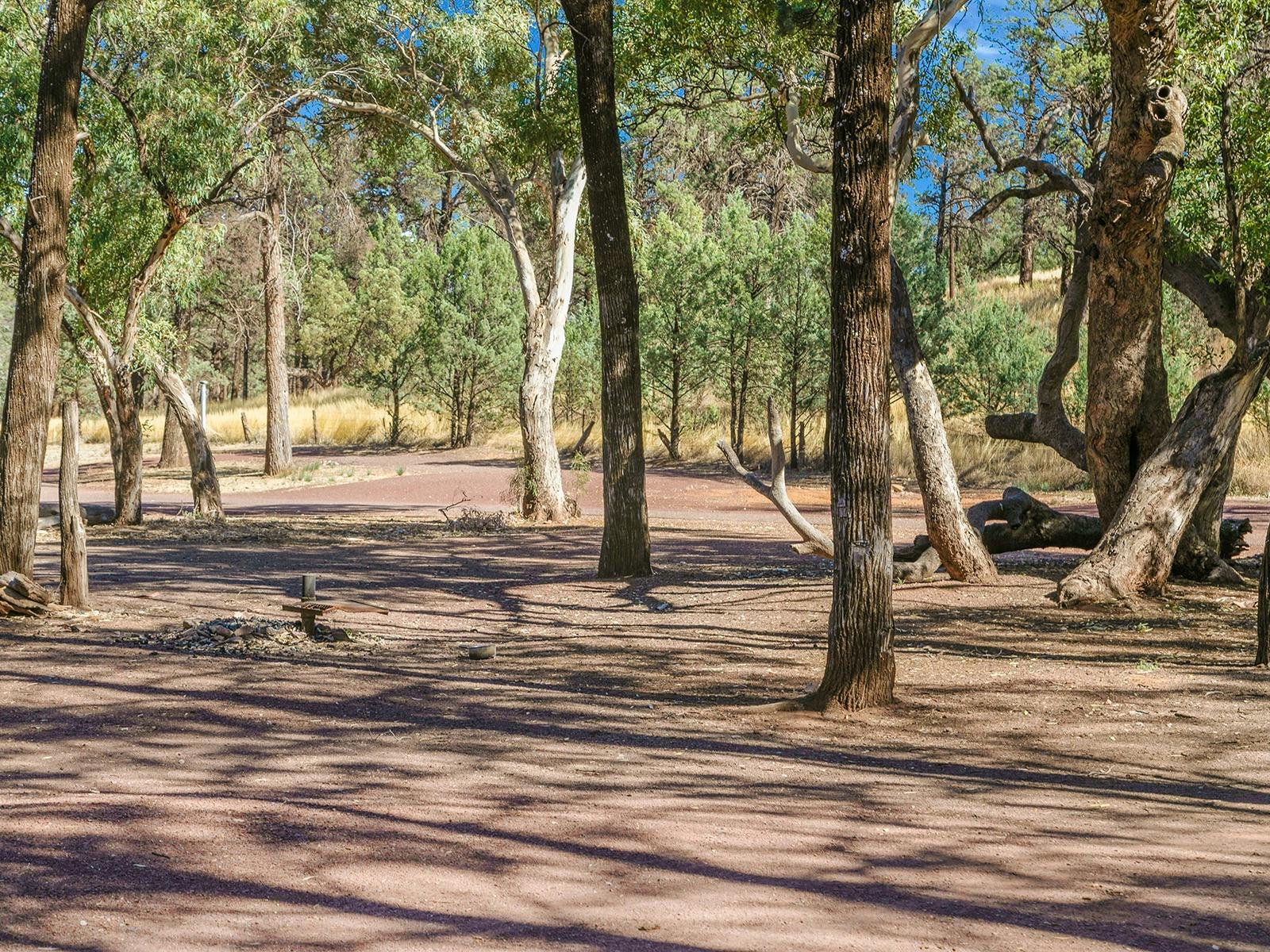 Unpowered Campsite