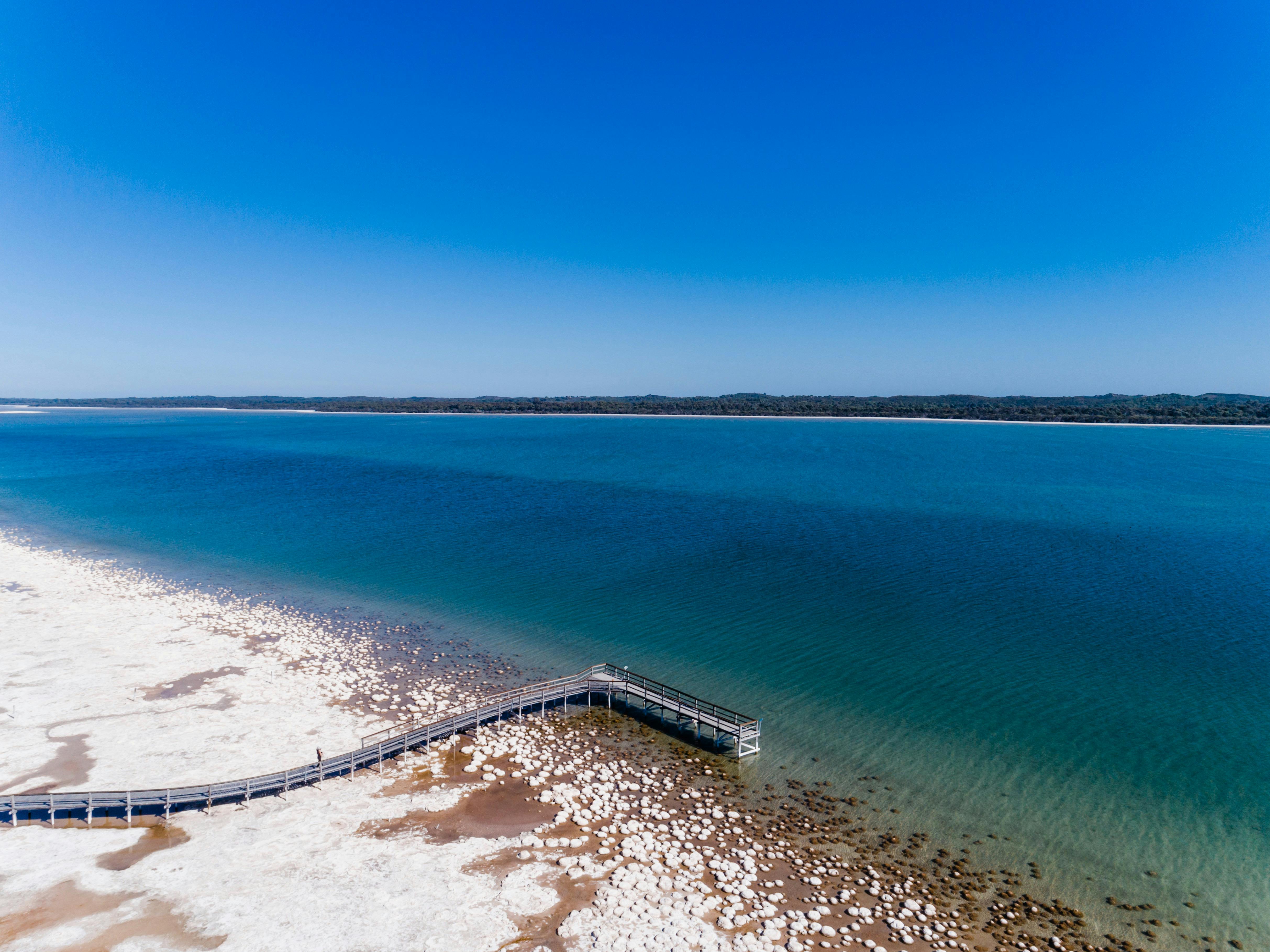 Lake Clifton Thrombolites