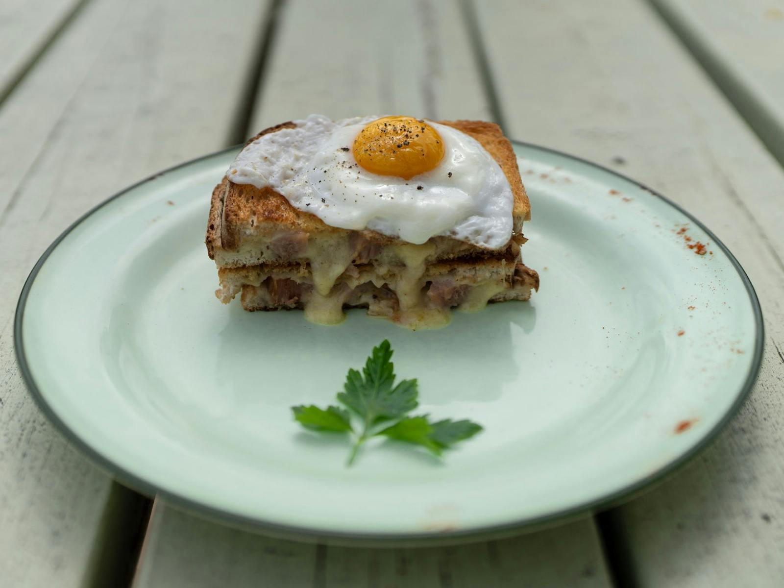 Cheesy toasted sandwich with a fried egg