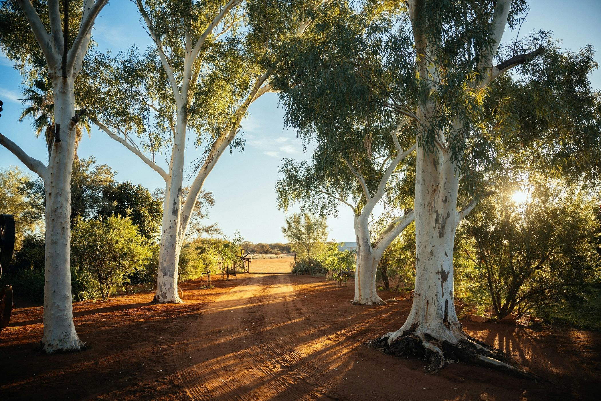 Wooleen Station Gardens