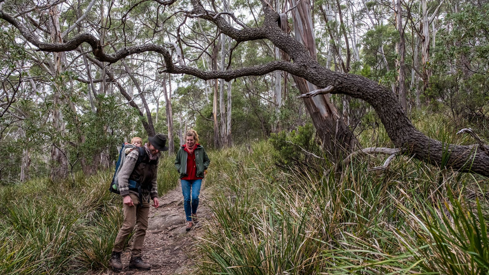 Fluted Cape - Great Short Walk