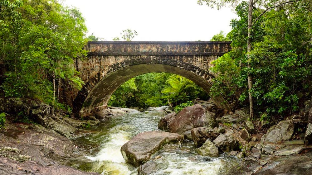 North Queensland Tours - World Heritage Rainforest