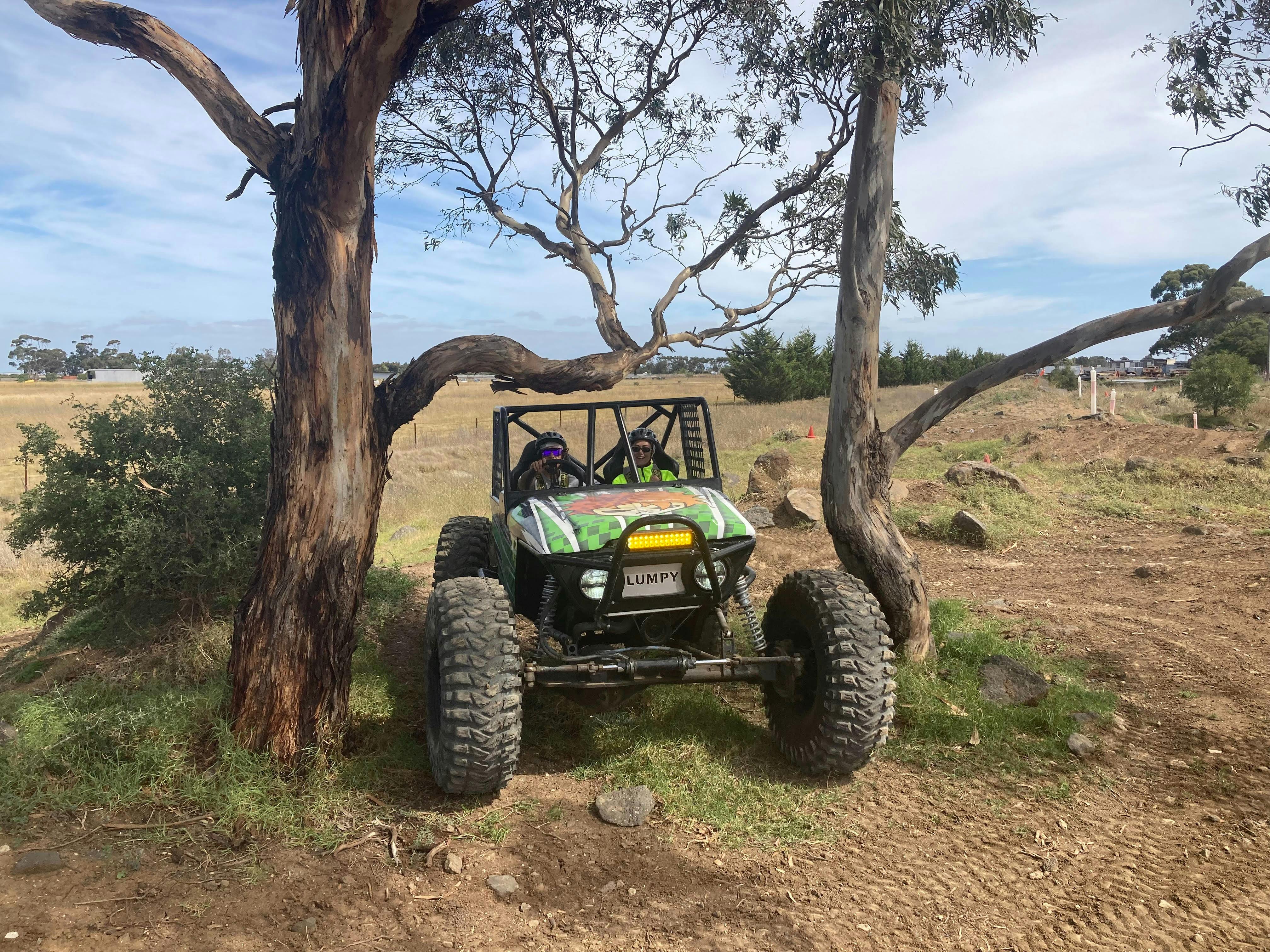 Trees obstacle