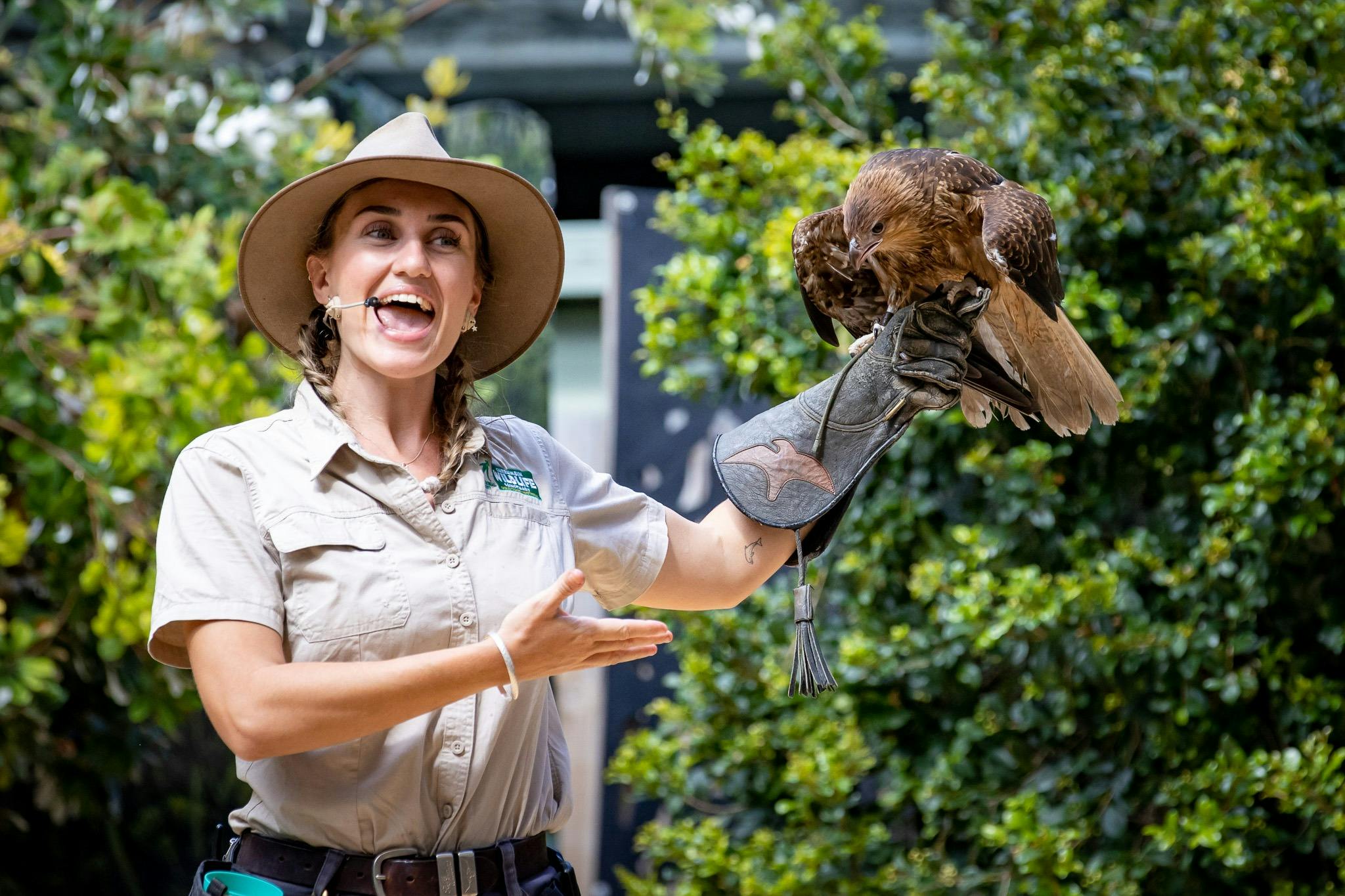 Bird Week at Currumbin Wildlife Sanctuary