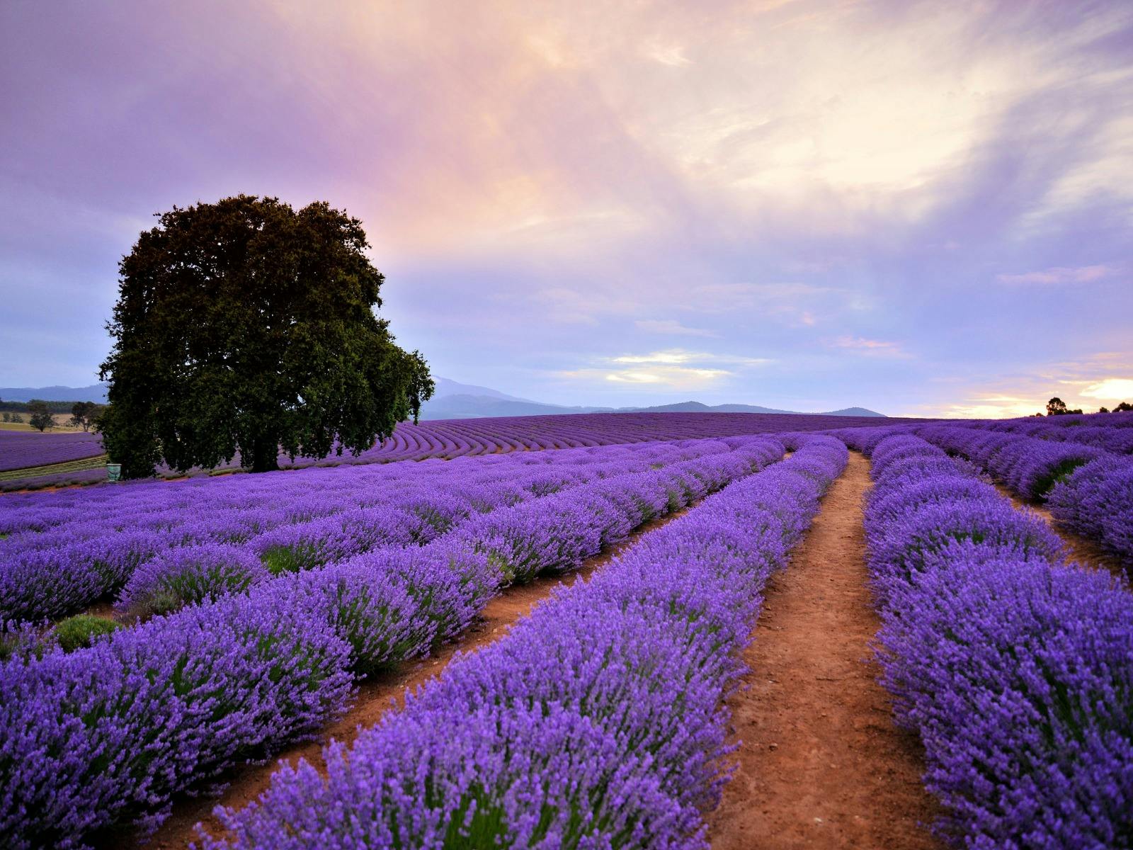 East Coast Car Rentals Launceston Airport Hire Discover Tasmania