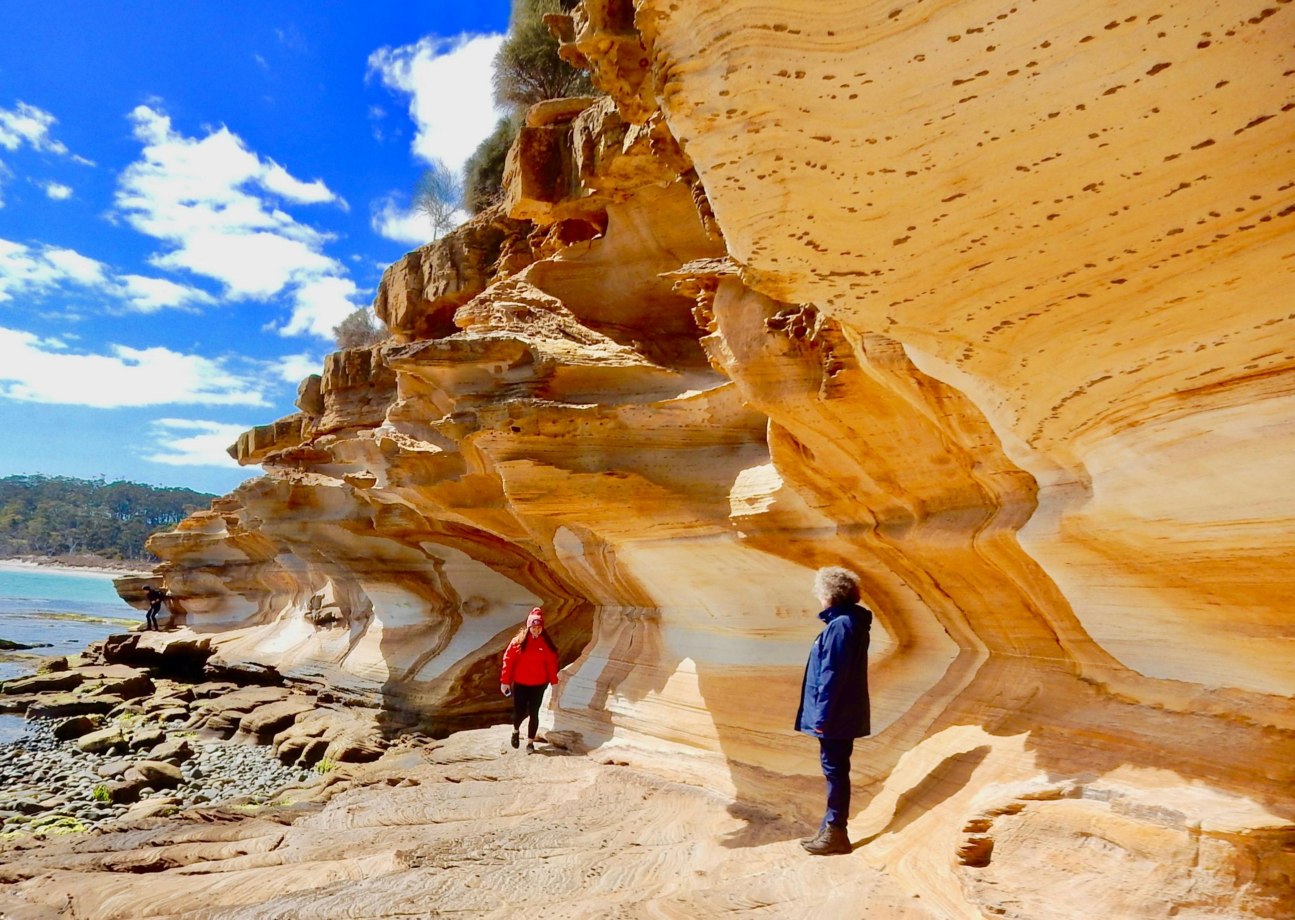Explore the amazing Painted Cliffs, Fossil Cliffs and convict ruins