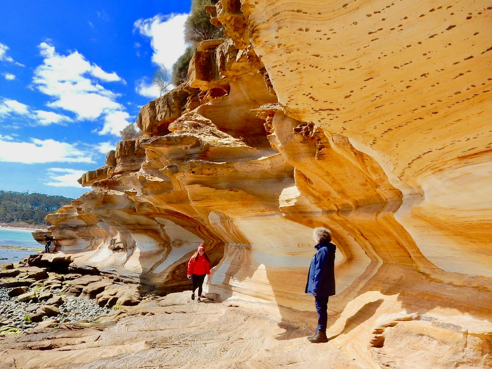 Explore the amazing Painted Cliffs, Fossil Cliffs and convict ruins