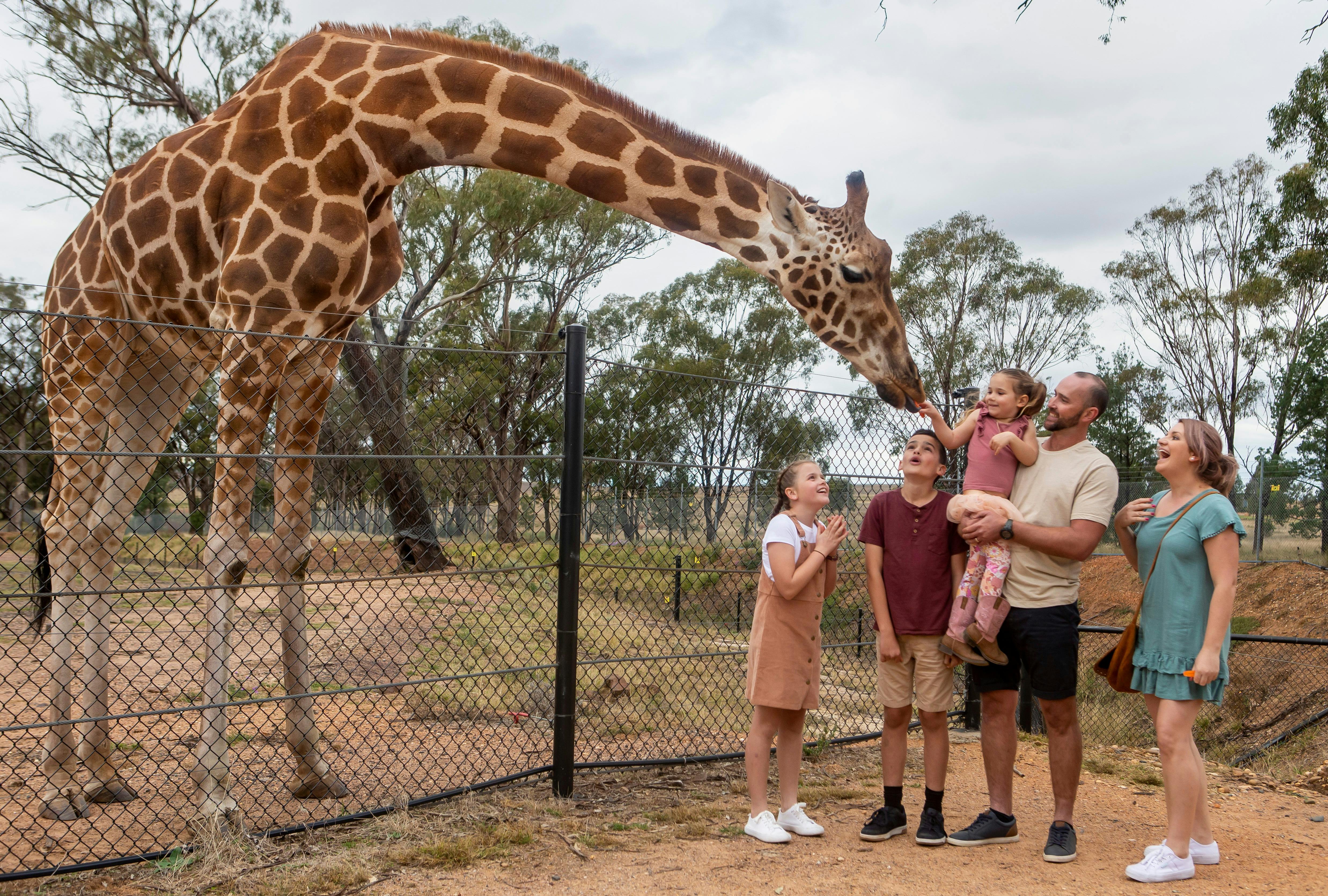 Zoofari Lodge, Taronga Western Plains Zoo, Dubbo