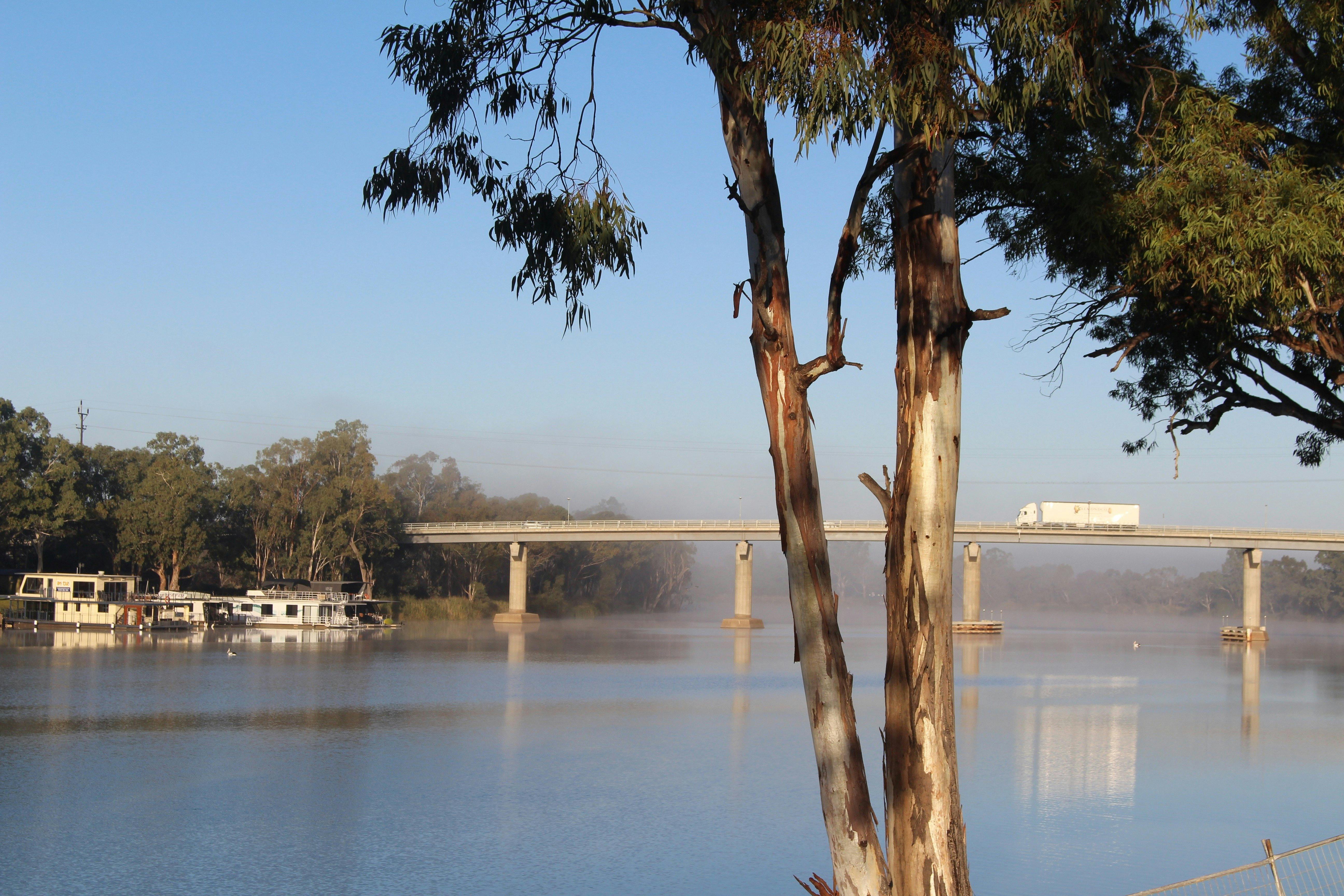 Berri Bridge on a foggy morning