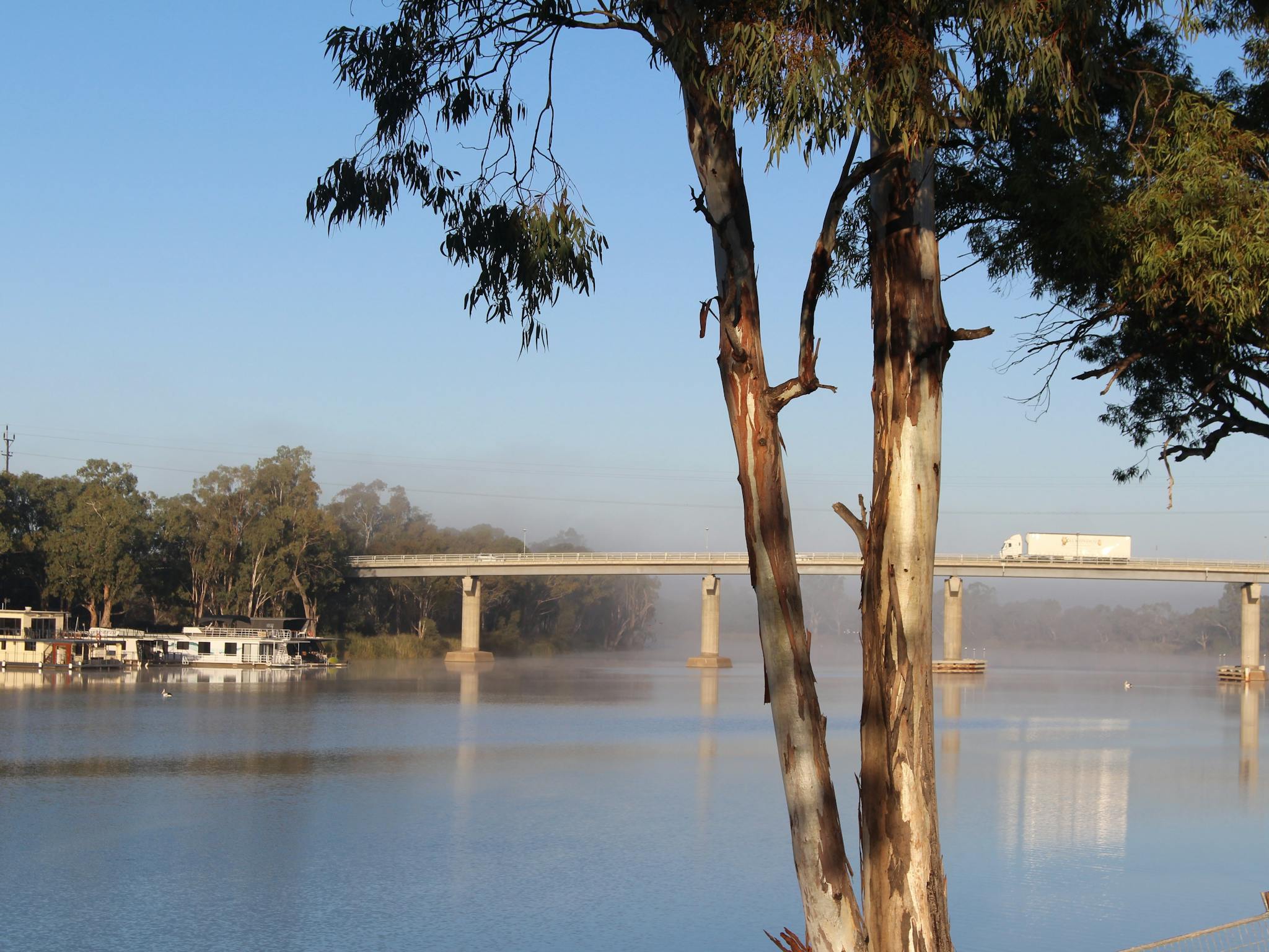 Berri Bridge on a foggy morning