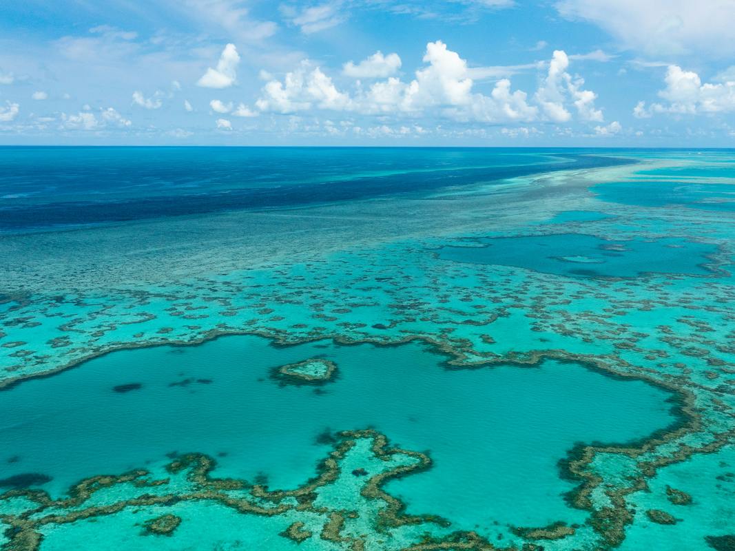The beauty of the Great Barrier Reef wall during low ocean tide