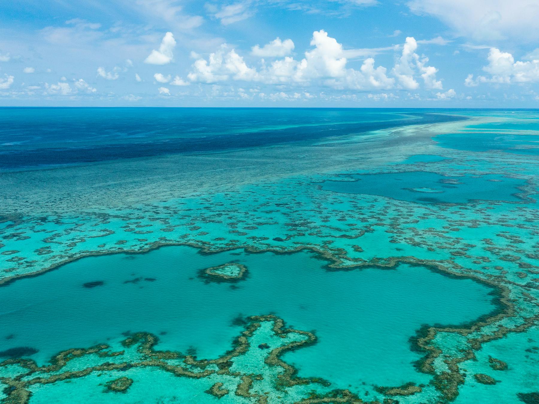 Aerial view of the calm turquoise waters and the endless reef during low ocean tide