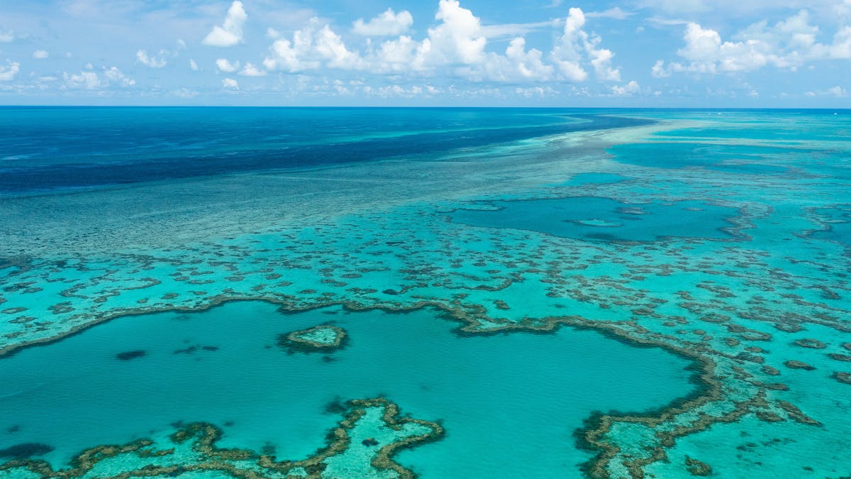 Aerial view of the calm turquoise waters and the endless reef during low ocean tide