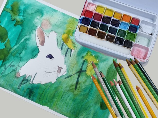 drawing of a white bunny in a green field with watercolour and pencils