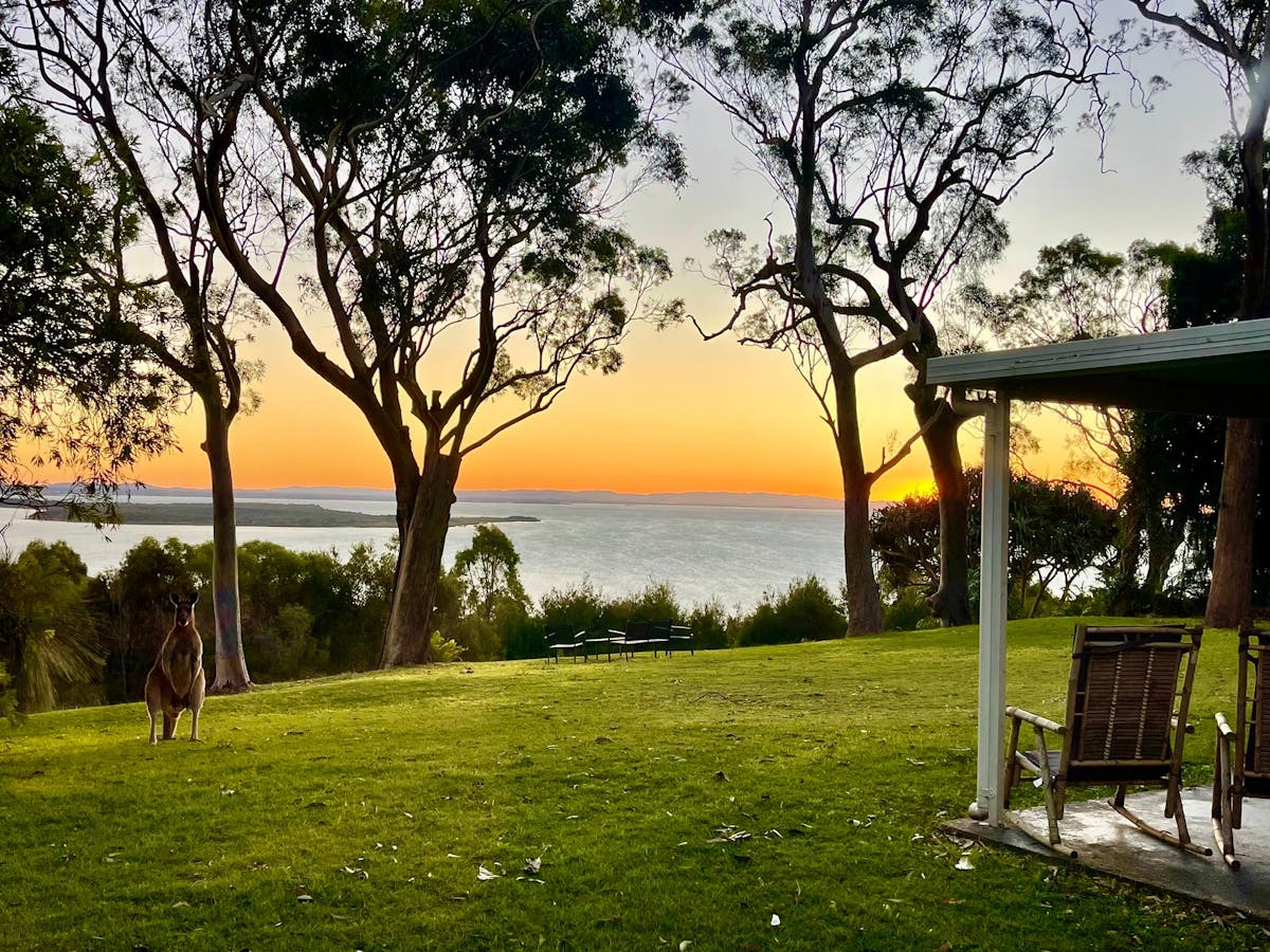 Backyard